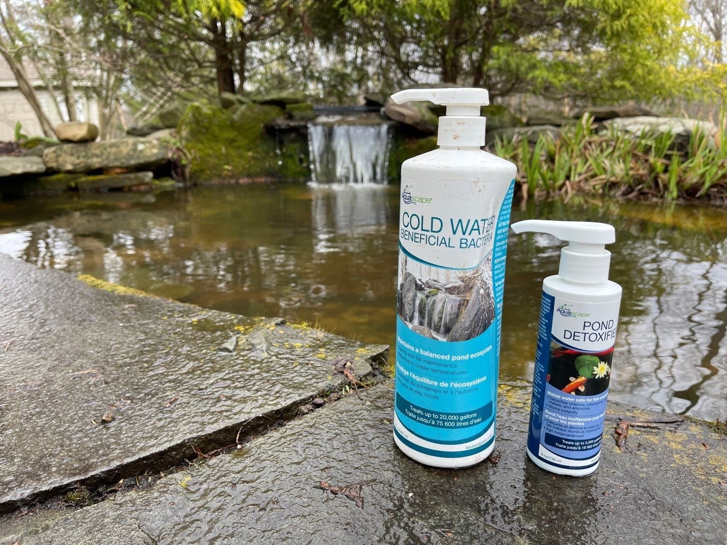 Water Feature Maintenance 3-5.JPG