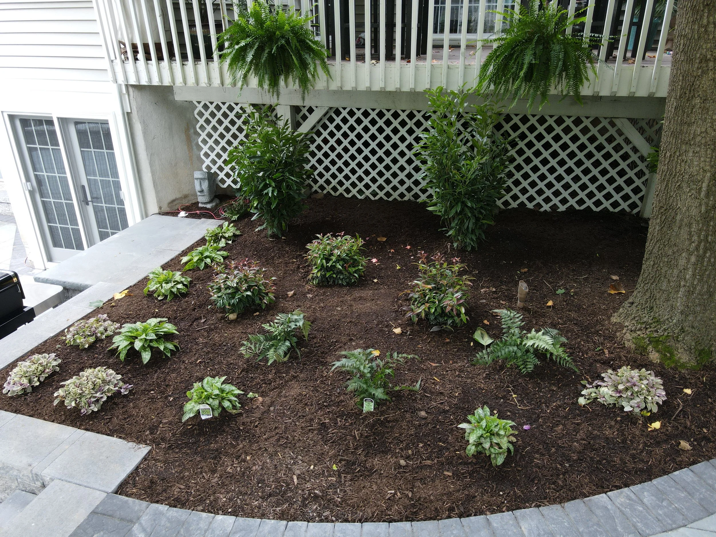 NEW-Backyard-Bracket 1-1-3.jpg