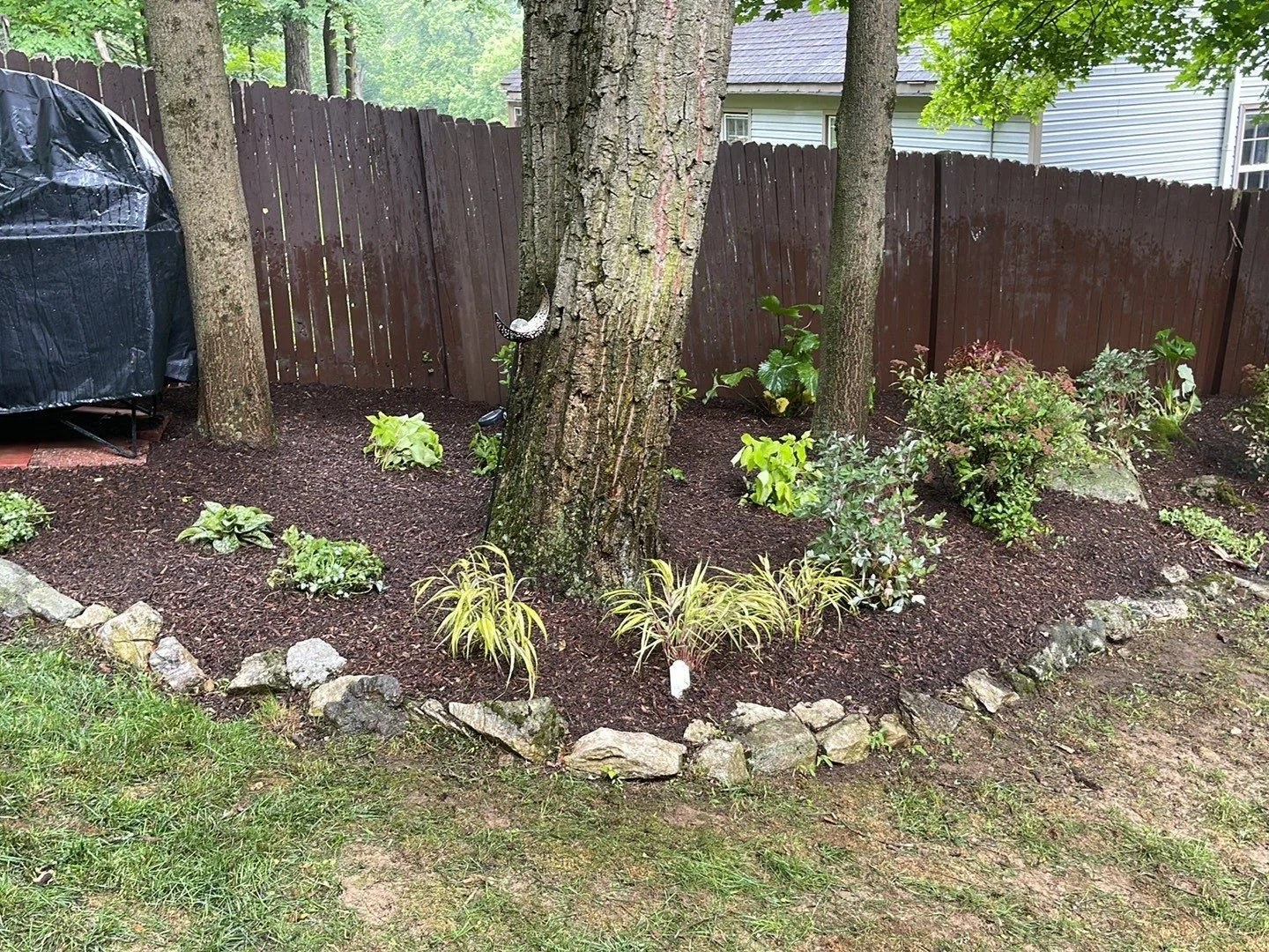 NEW-Backyard-Bracket 1-5-3.jpg