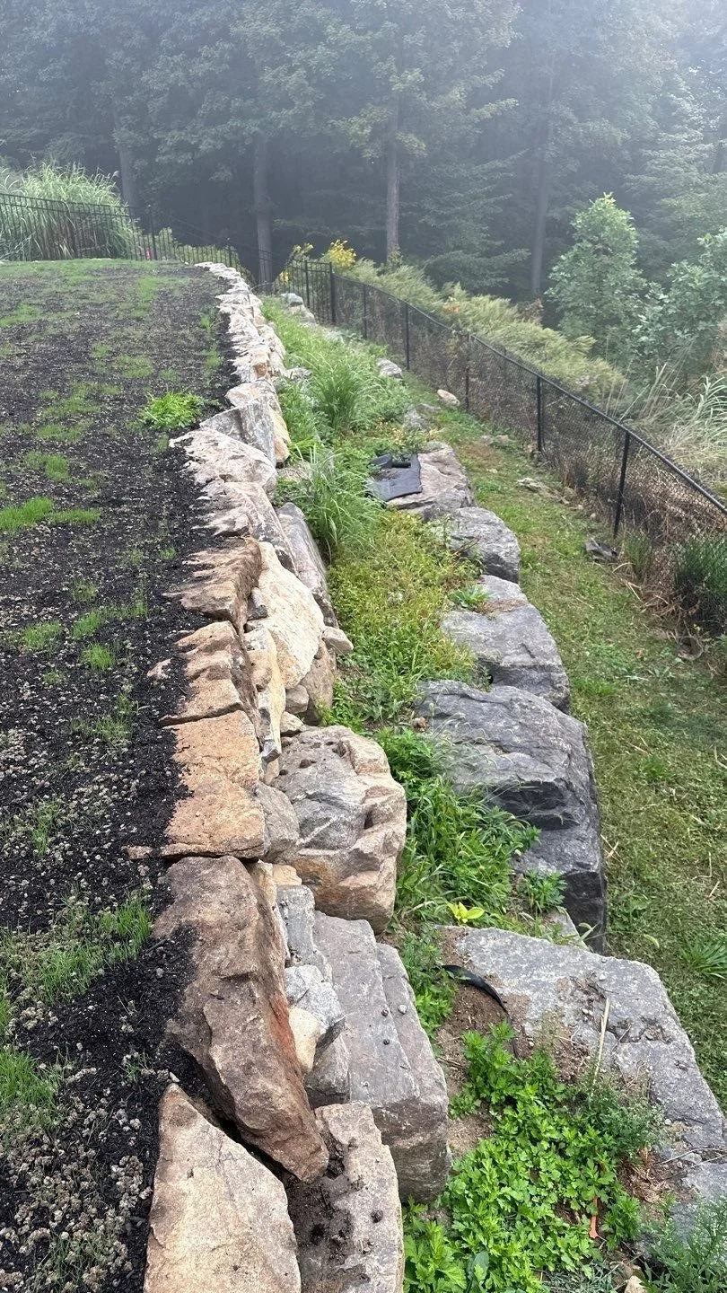 NEW-Backyard-Bracket 1-10-2.jpg