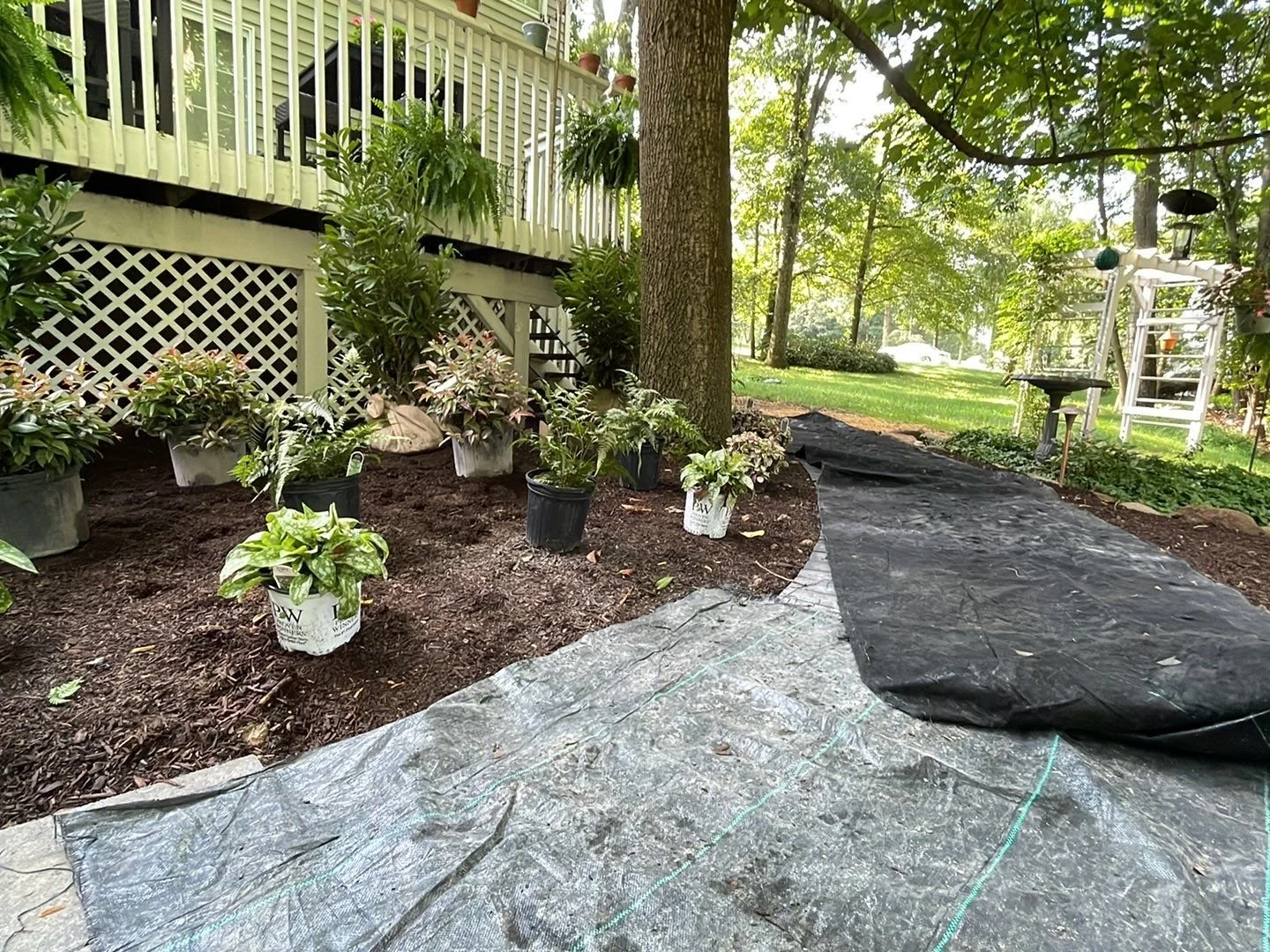 NEW-Backyard-Bracket 1-1-2.jpg