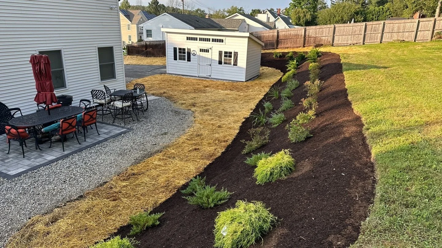 NEW-Backyard-Bracket 1-4-4.jpg