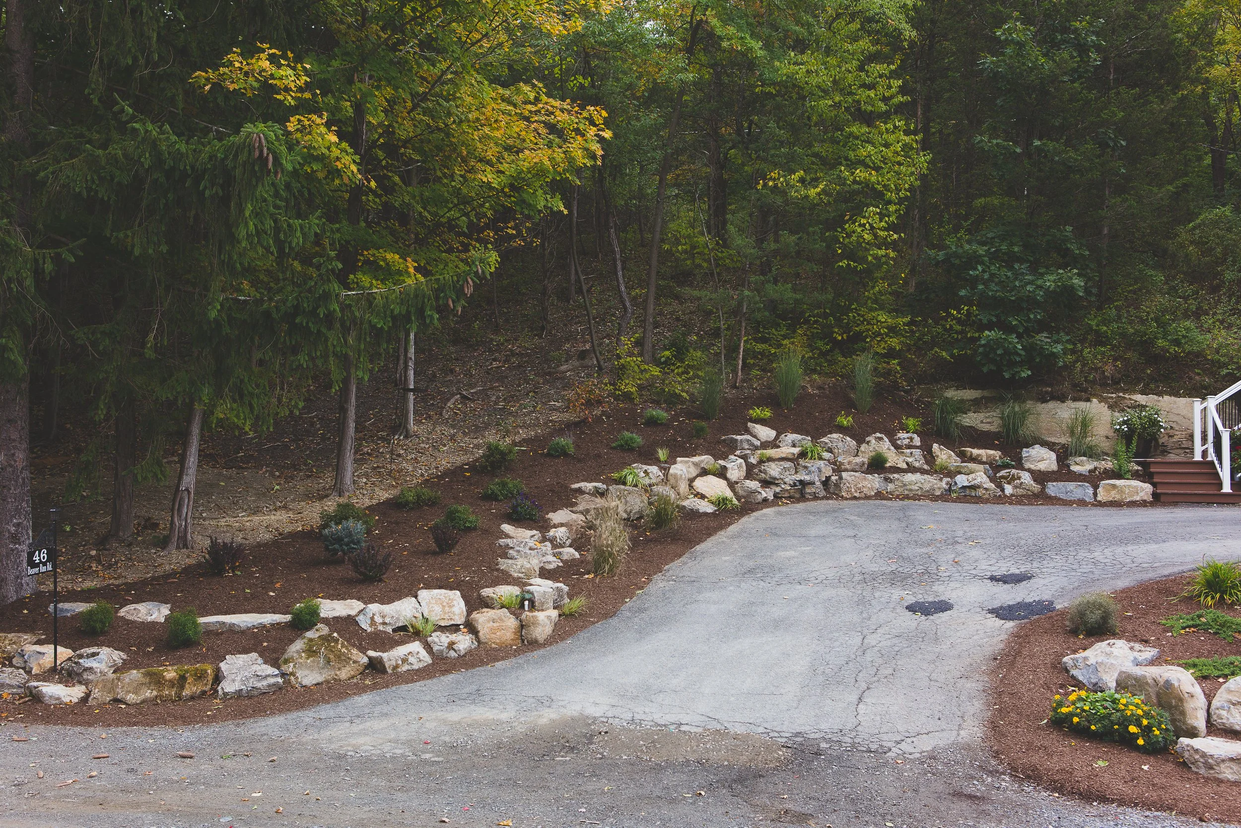 NEW-Backyard-Bracket 2-1-12.JPG