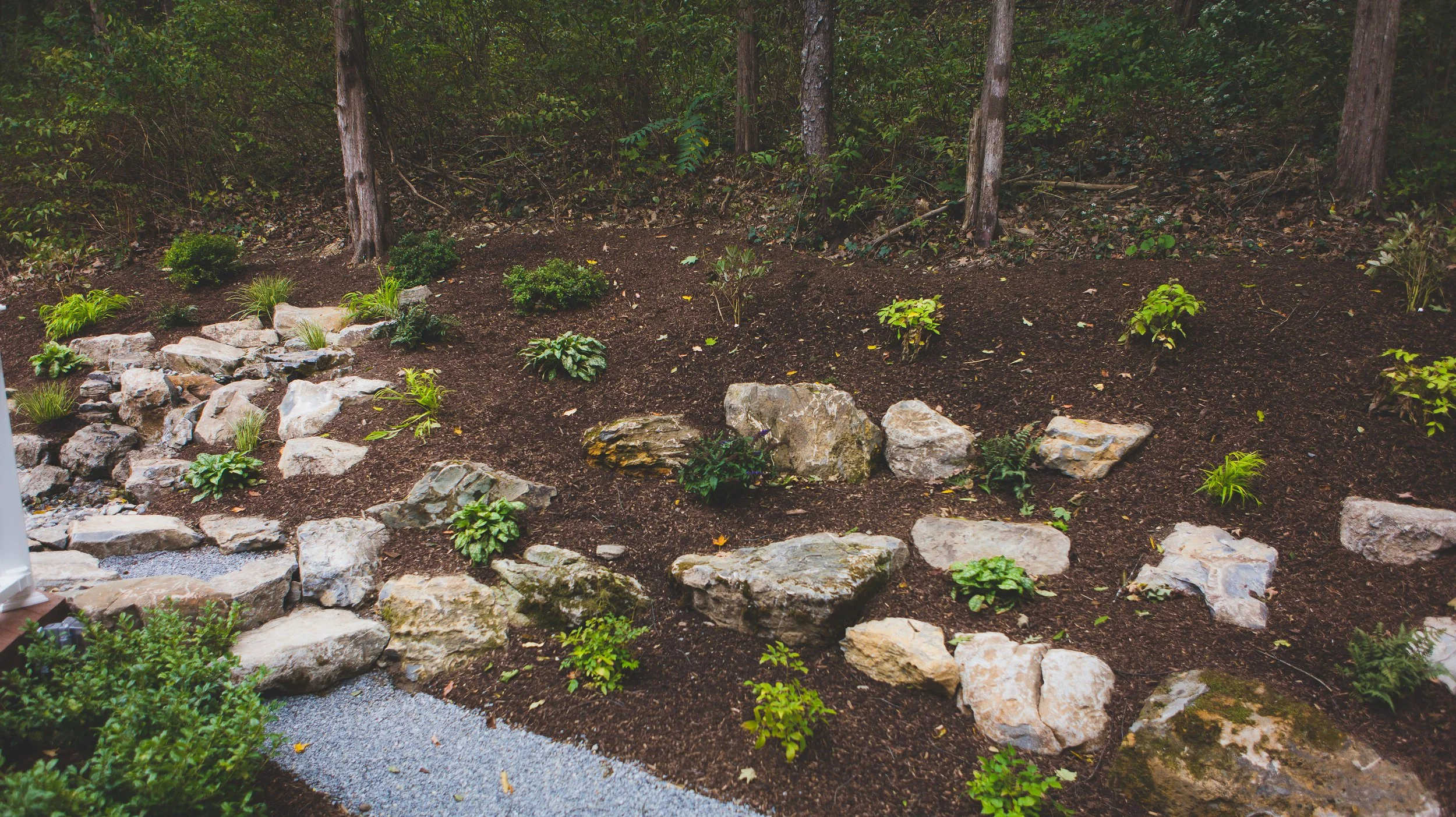 NEW-Backyard-Bracket 2-1-7.JPG