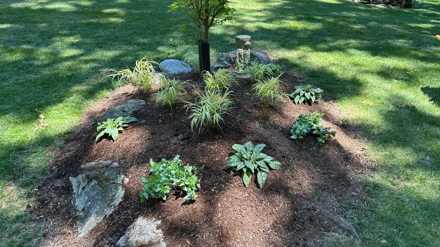 NEW-Backyard-Bracket 2-2-1.jpg