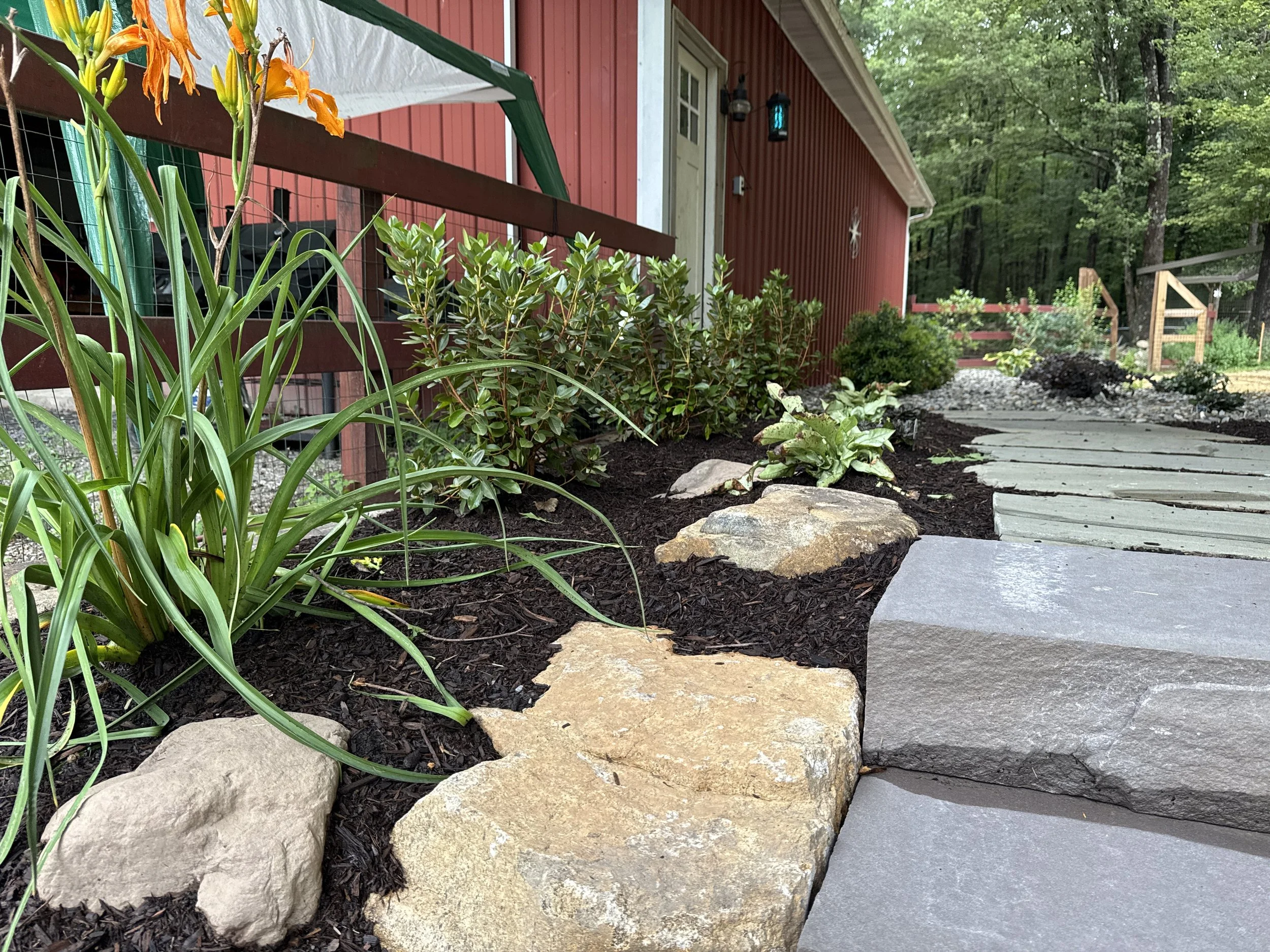 NEW-Backyard-Bracket 3-2-13.JPG