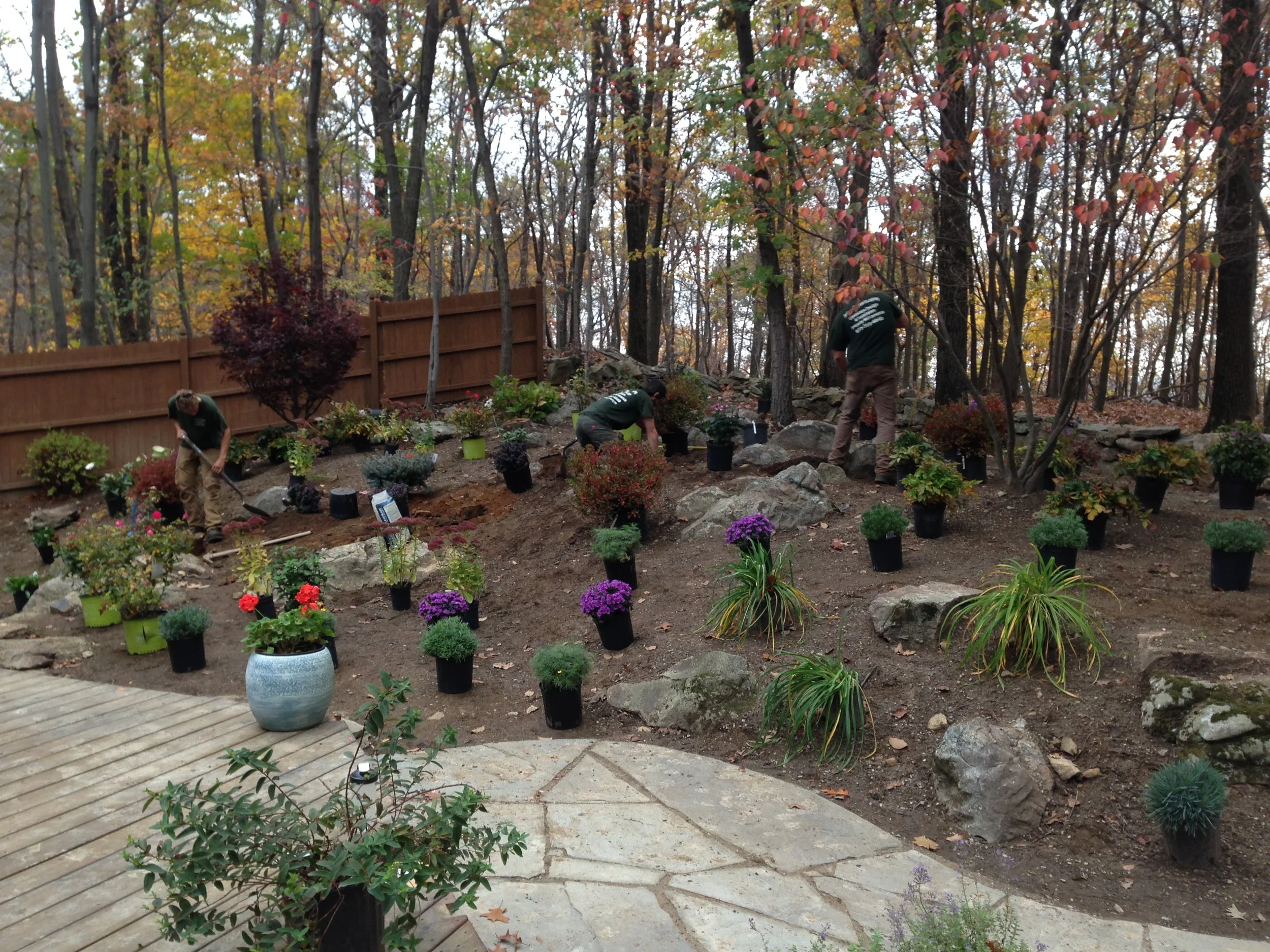 NEW-Backyard-Bracket 3-3-6.jpg