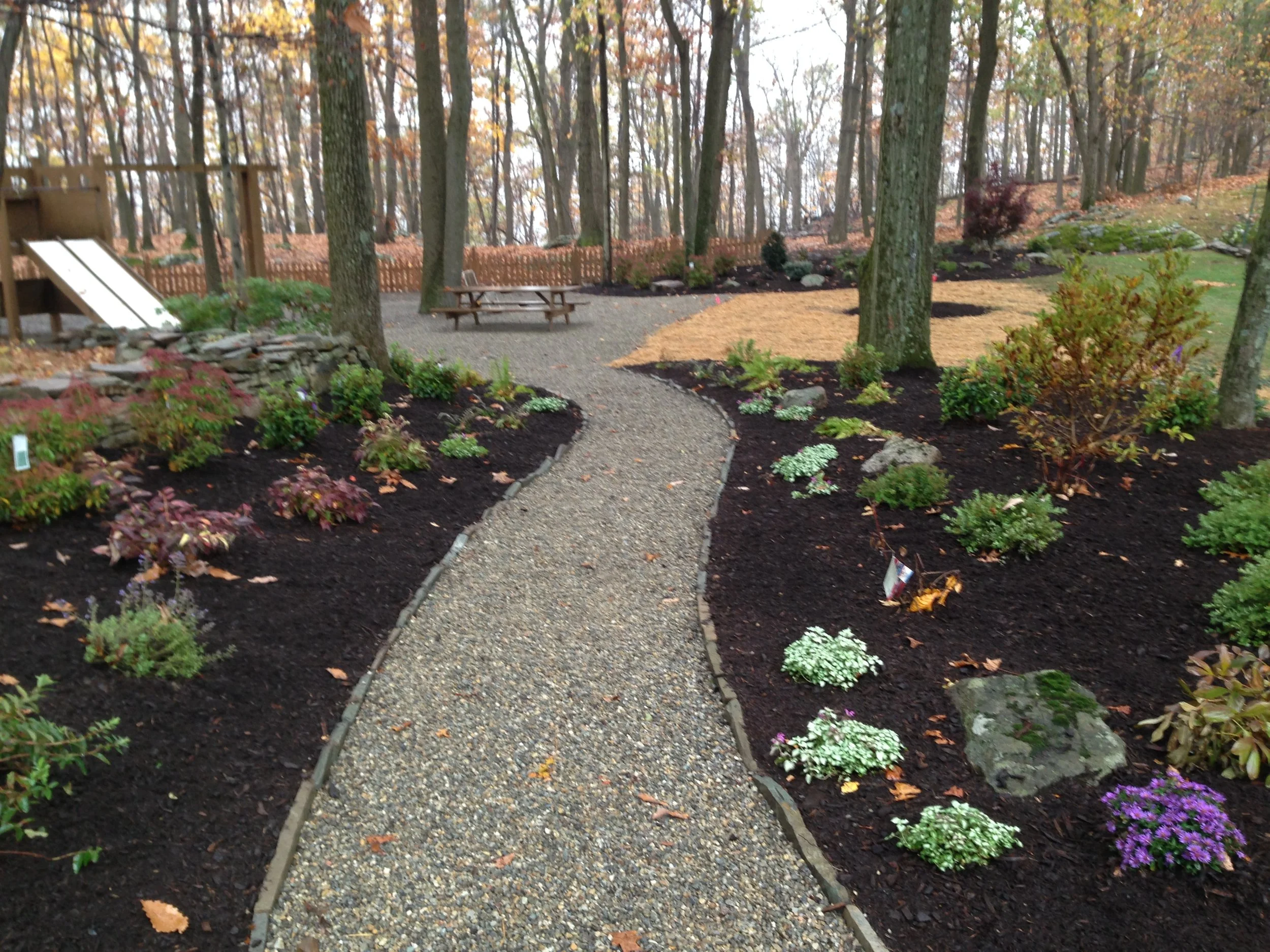 NEW-Backyard-Bracket 3-3-11.jpg