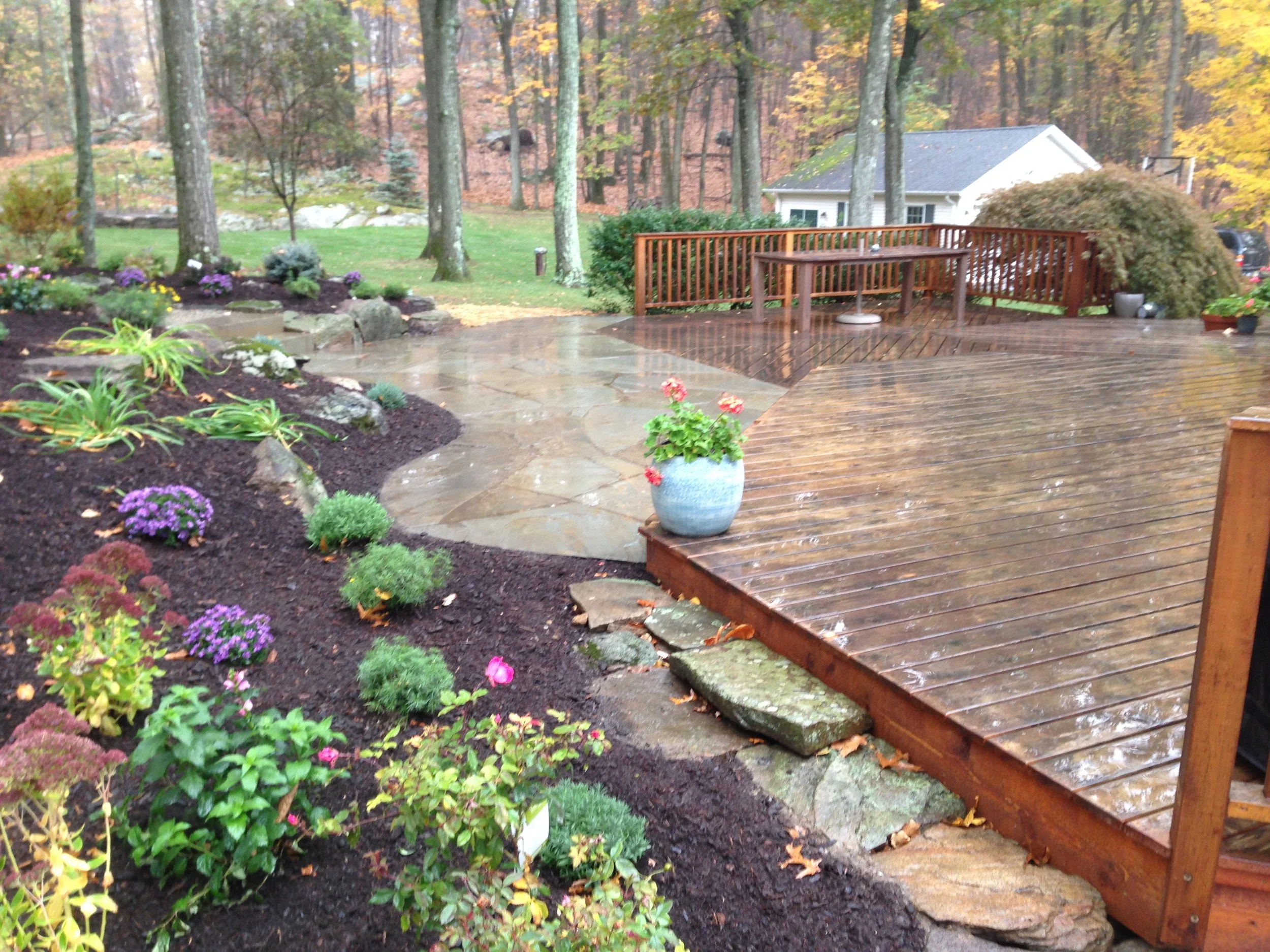 NEW-Backyard-Bracket 3-3-10.jpg