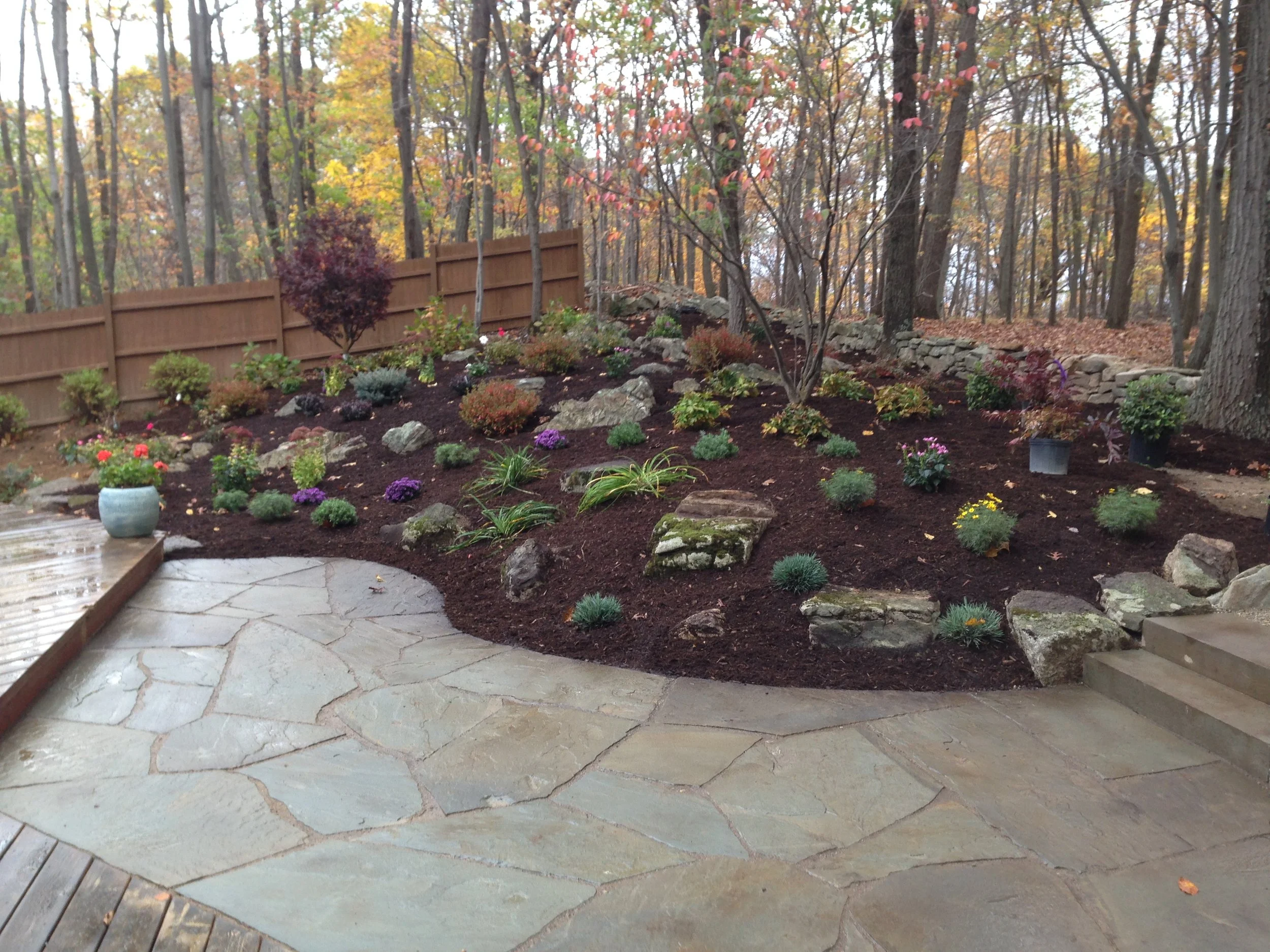 NEW-Backyard-Bracket 3-3-8.jpg