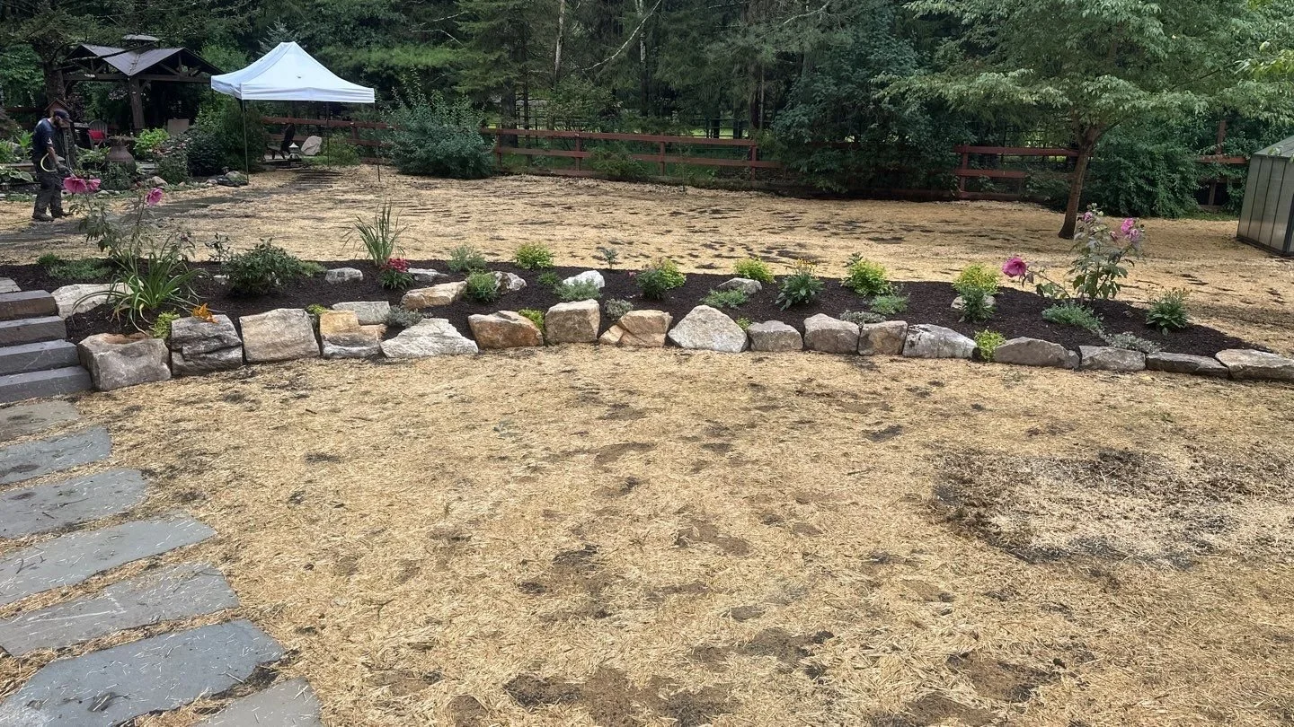 NEW-Backyard-Bracket 3-2-11.jpg