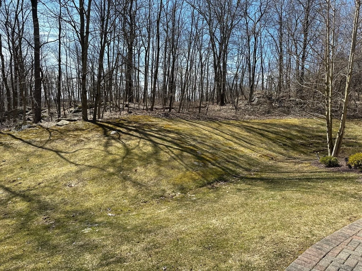 NEW-Front Yard-Bracket 2-3-1.jpg