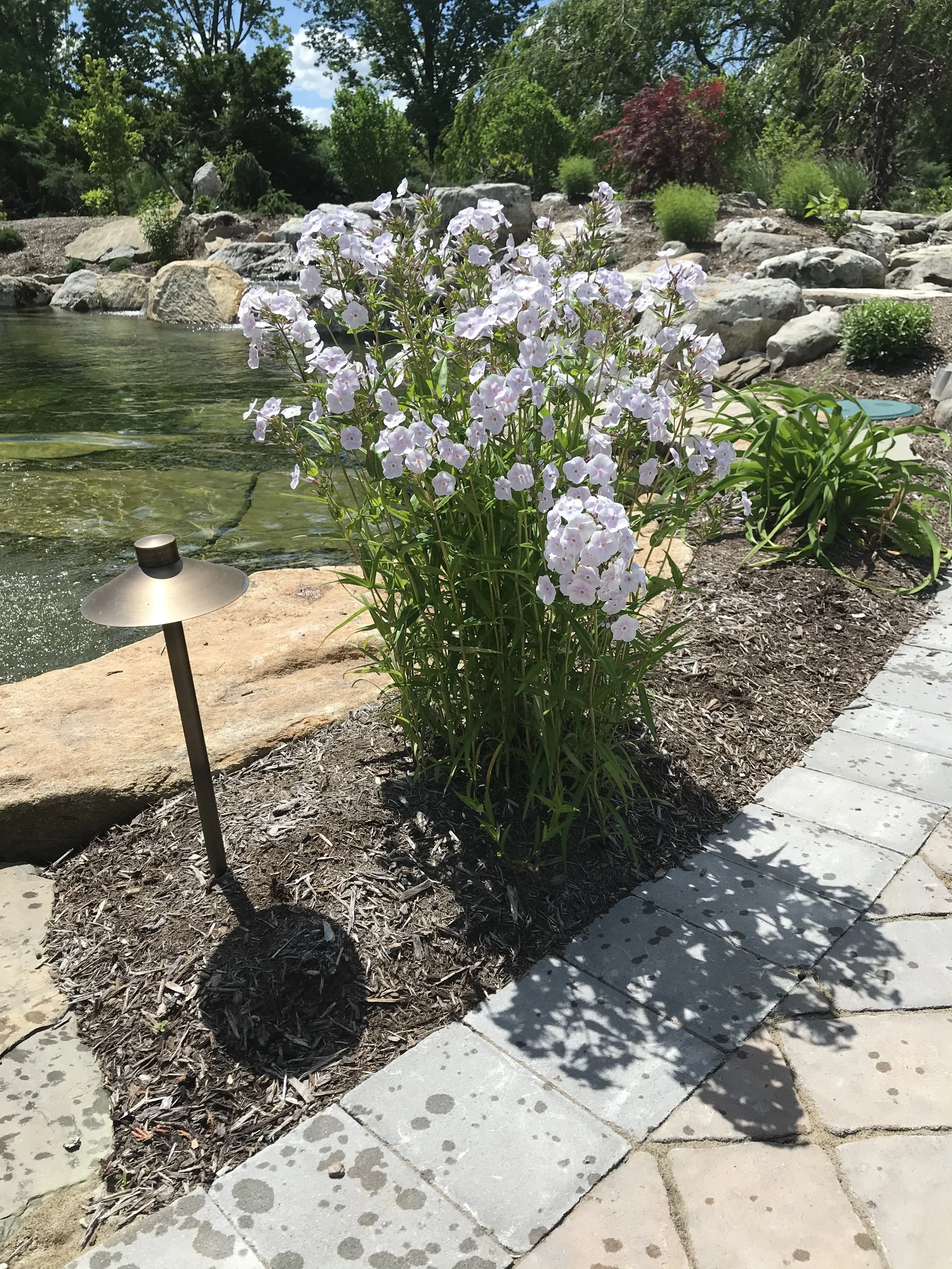 NEW-Pool-Pondscapes-Bracket 3-4-6.jpg