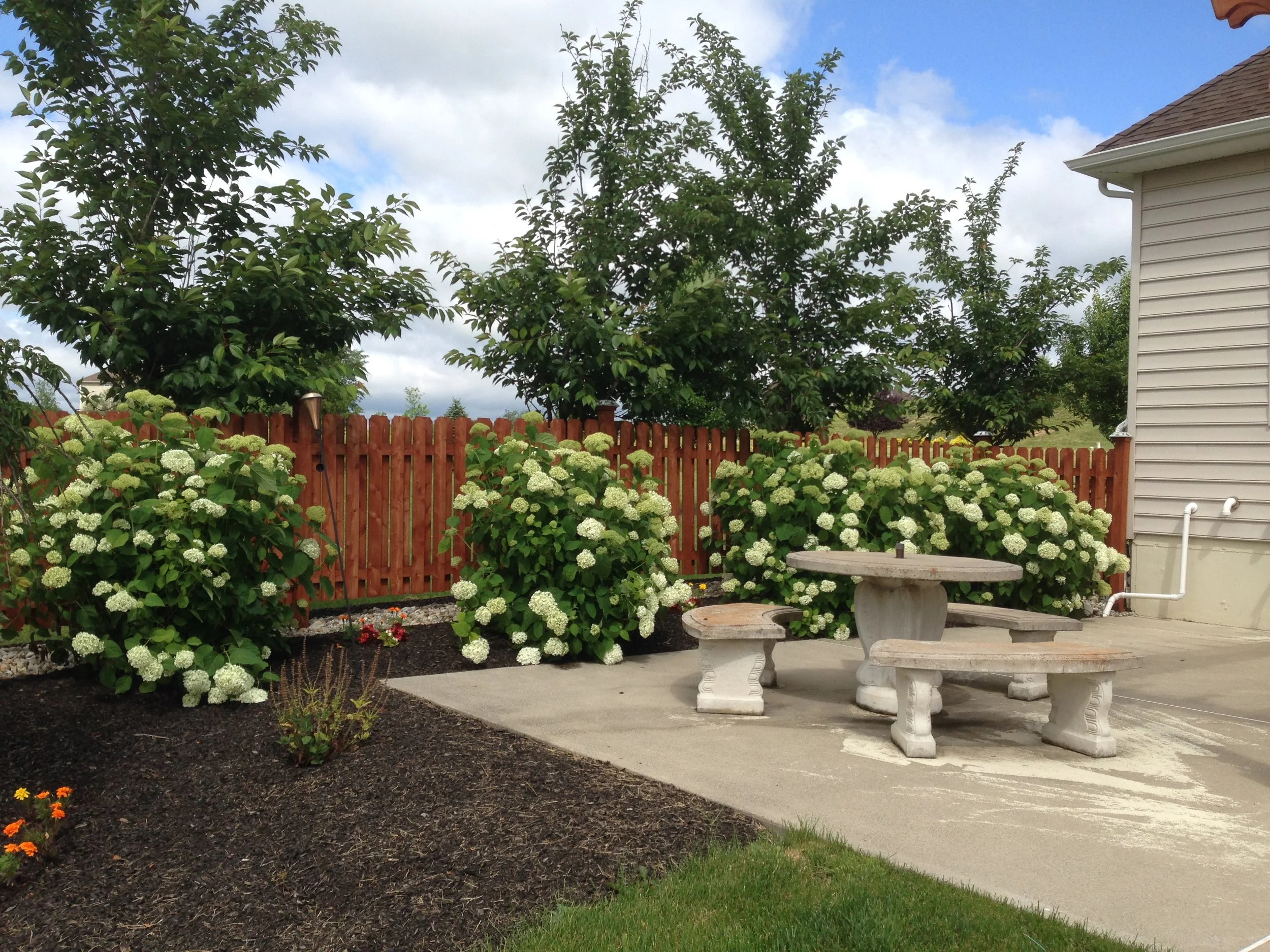 NEW-Pool-Pondscapes-Bracket 3-2-12.JPG