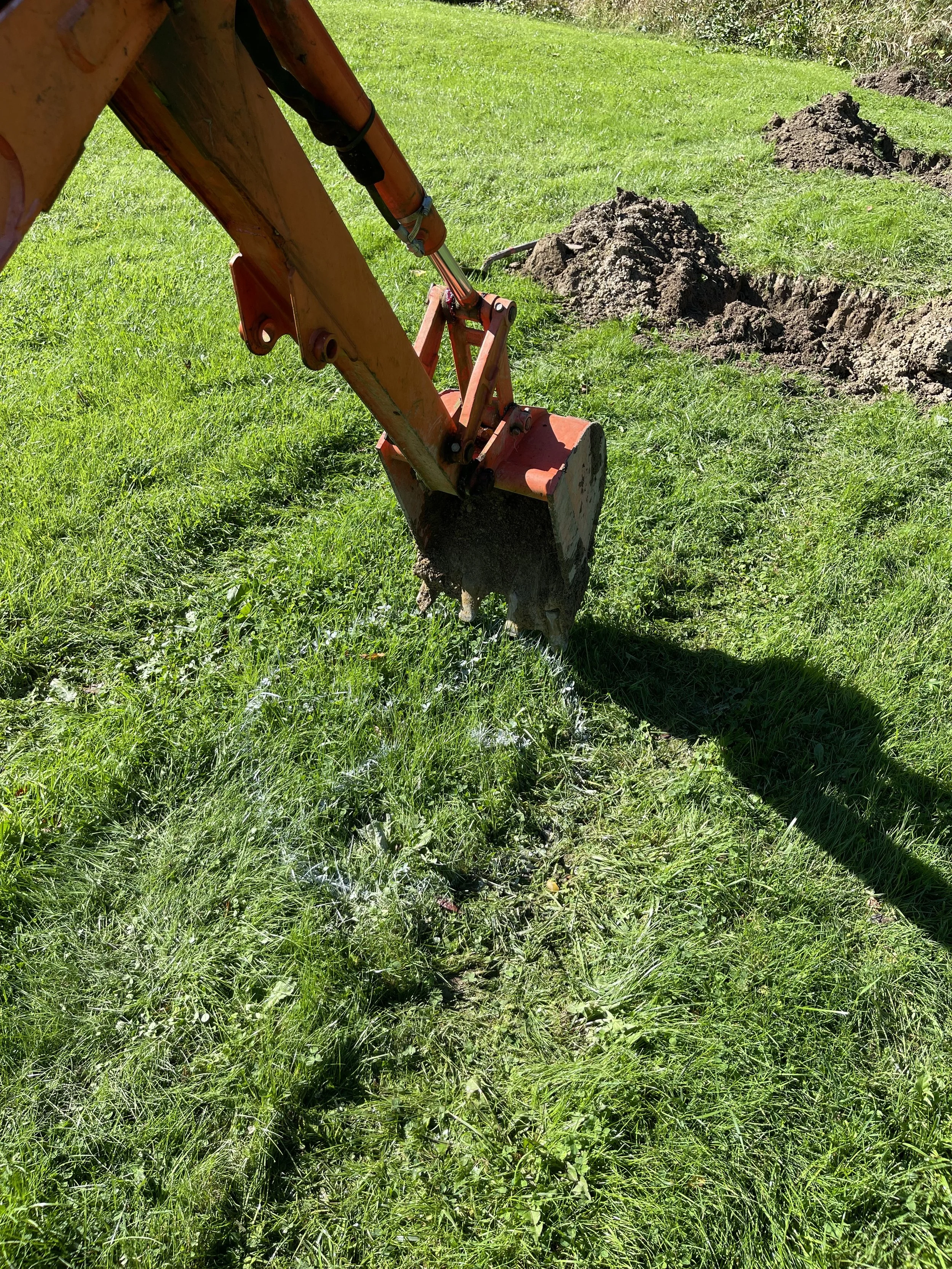 NEW-Property-Border Screenings-Bracket 1-5-1.jpg