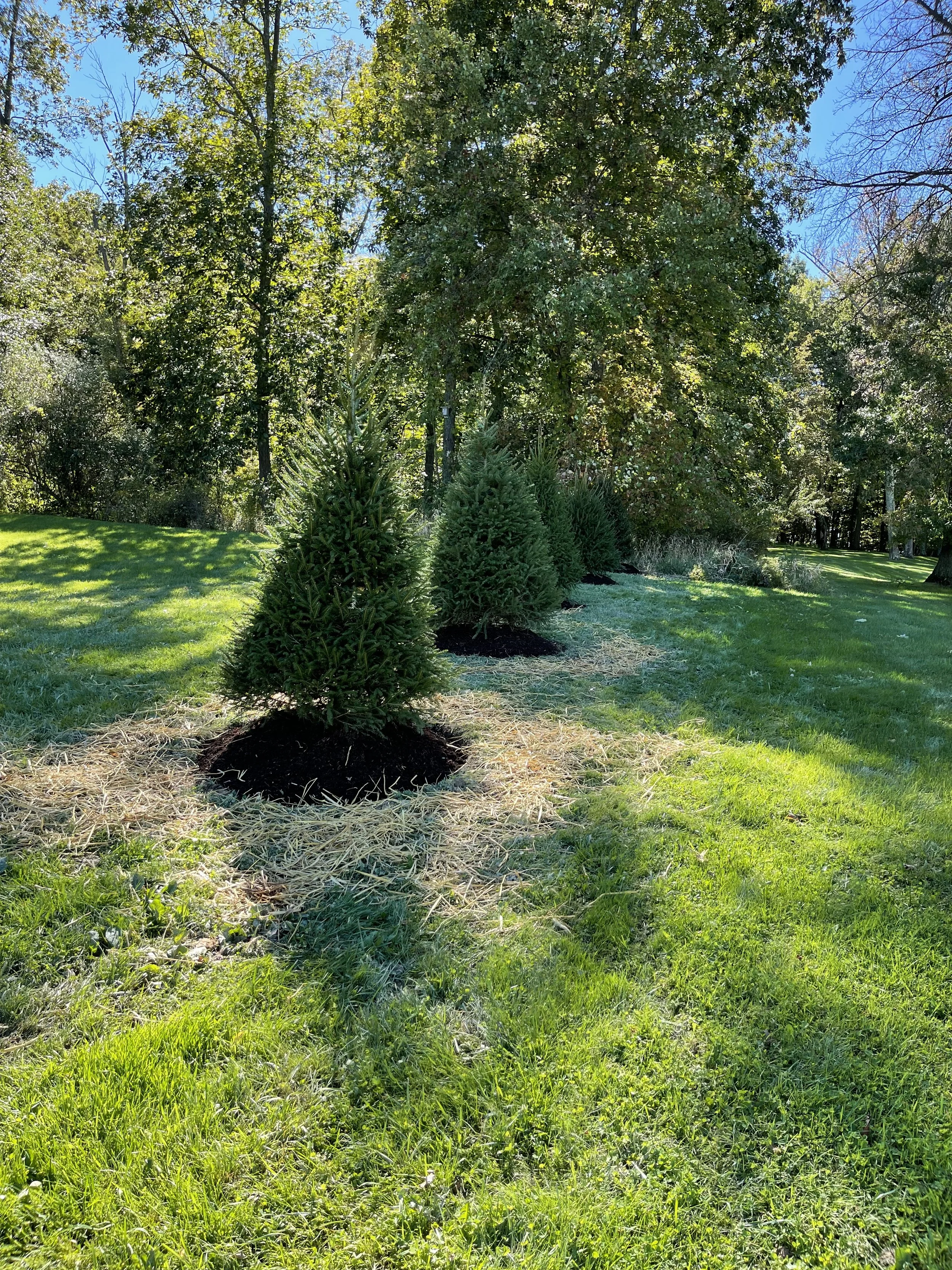 NEW-Property-Border Screenings-Bracket 1-5-3.jpg