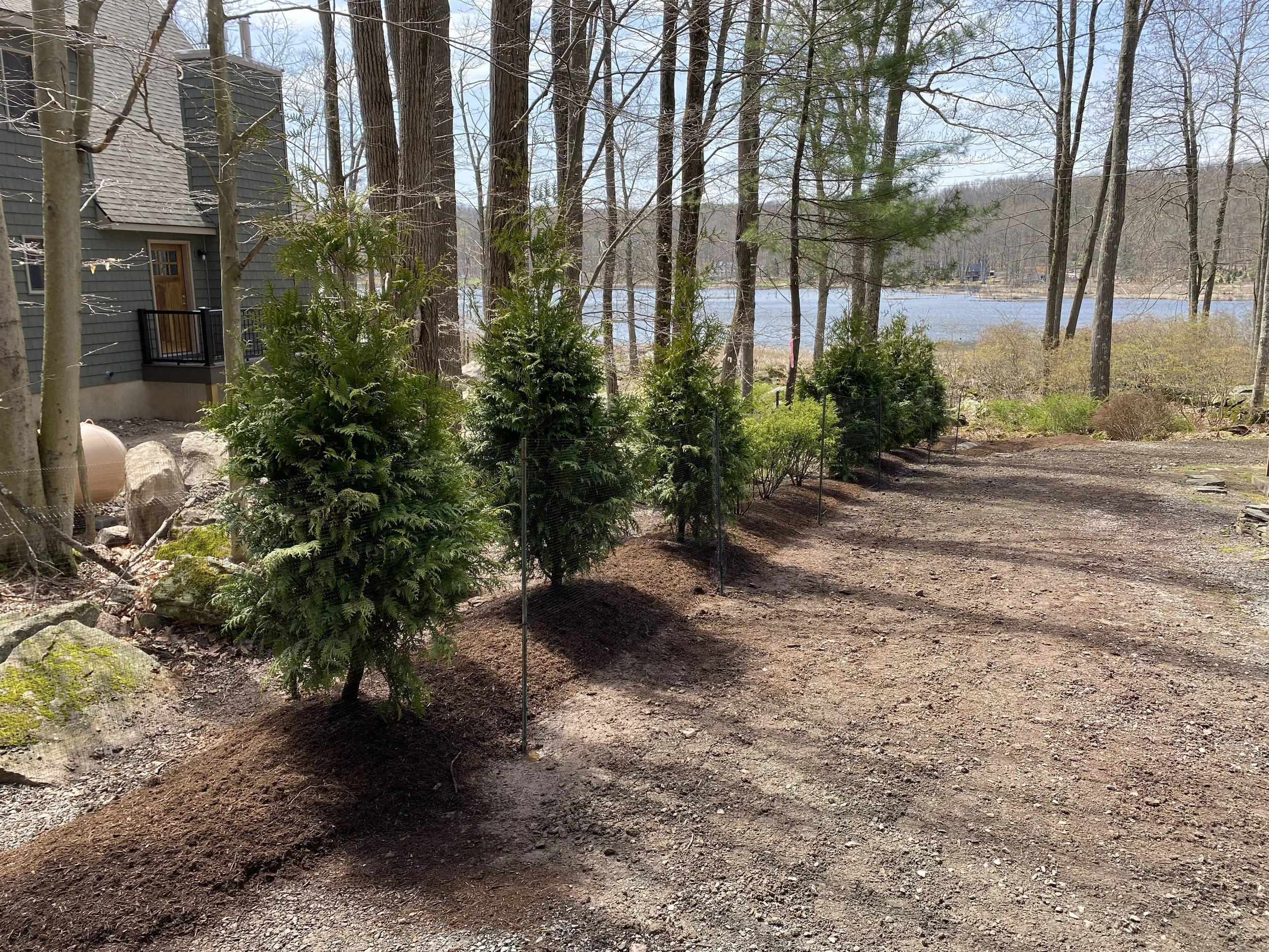 NEW-Property-Border Screenings-Bracket 1-4-2.jpg