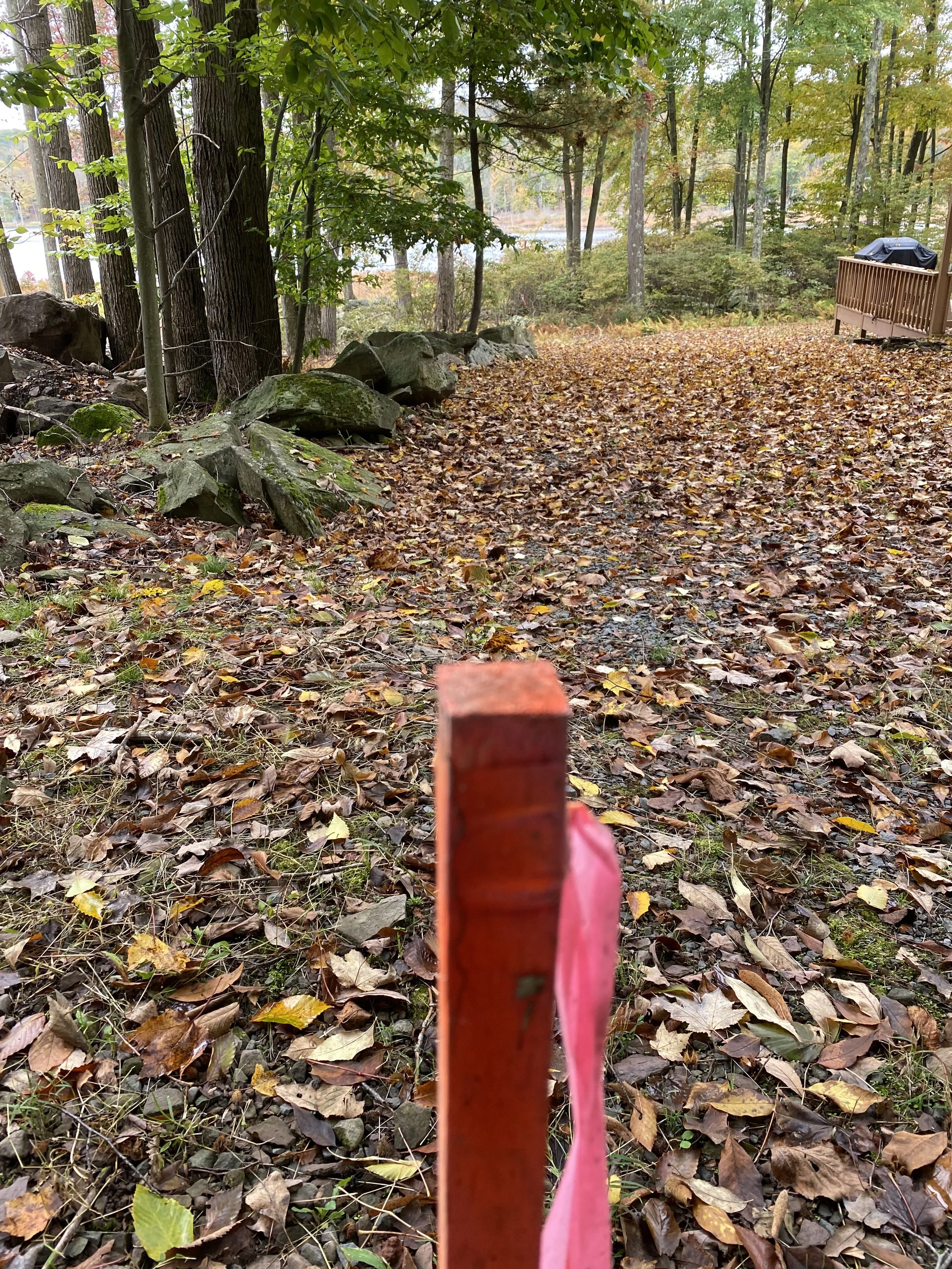 NEW-Property-Border Screenings-Bracket 1-4-1.jpg