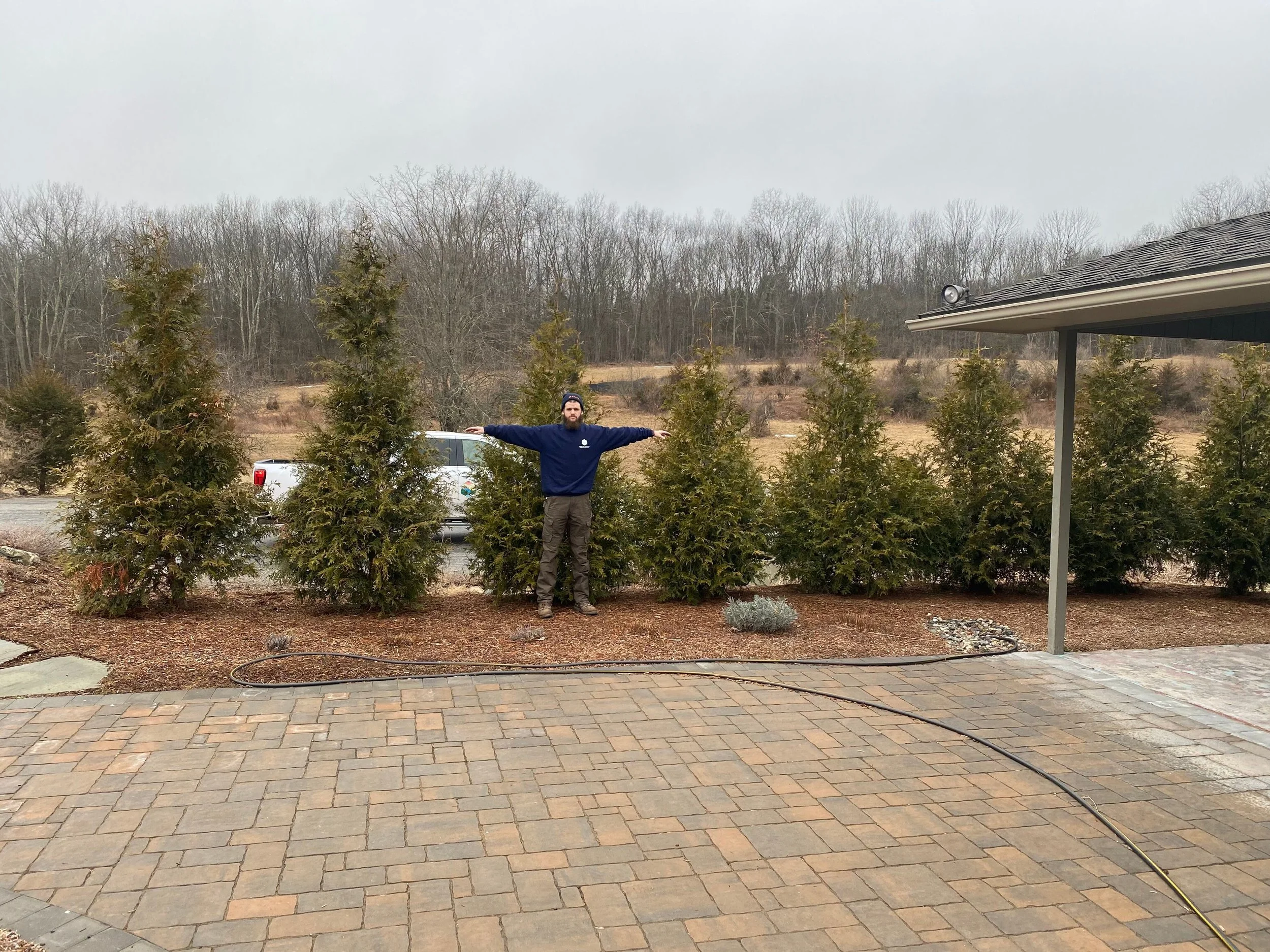 NEW-Property-Border Screenings-Bracket 1-6-2.jpg