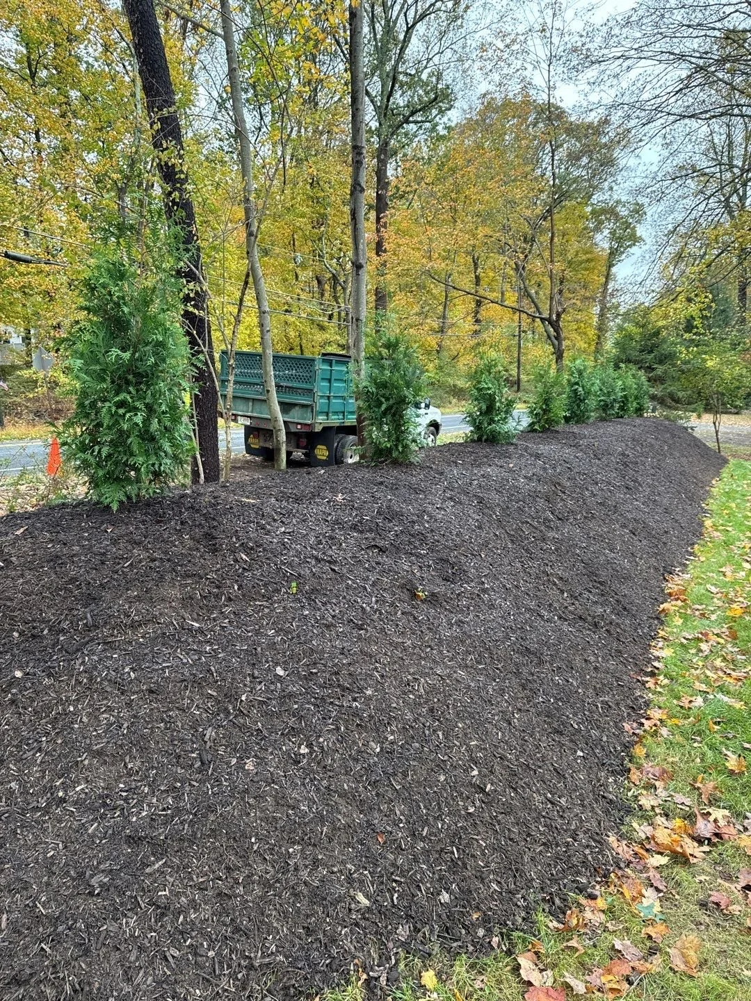 NEW-Property-Border Screenings-Bracket 1-3-4.jpg