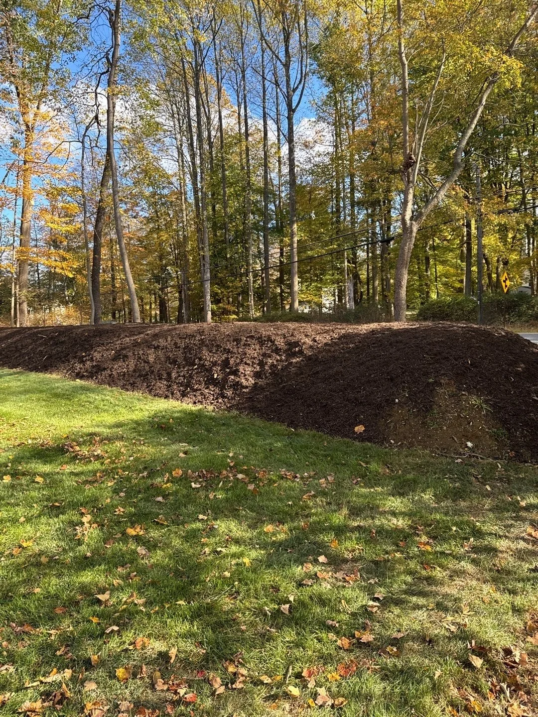 NEW-Property-Border Screenings-Bracket 1-3-2.jpg