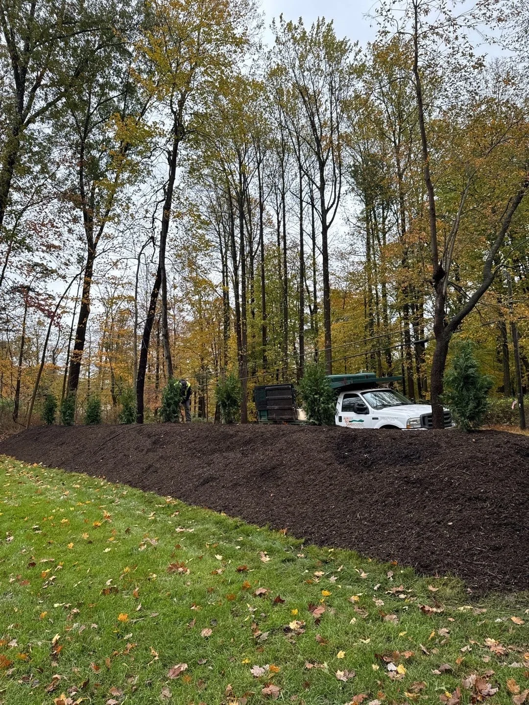 NEW-Property-Border Screenings-Bracket 1-3-3.jpg