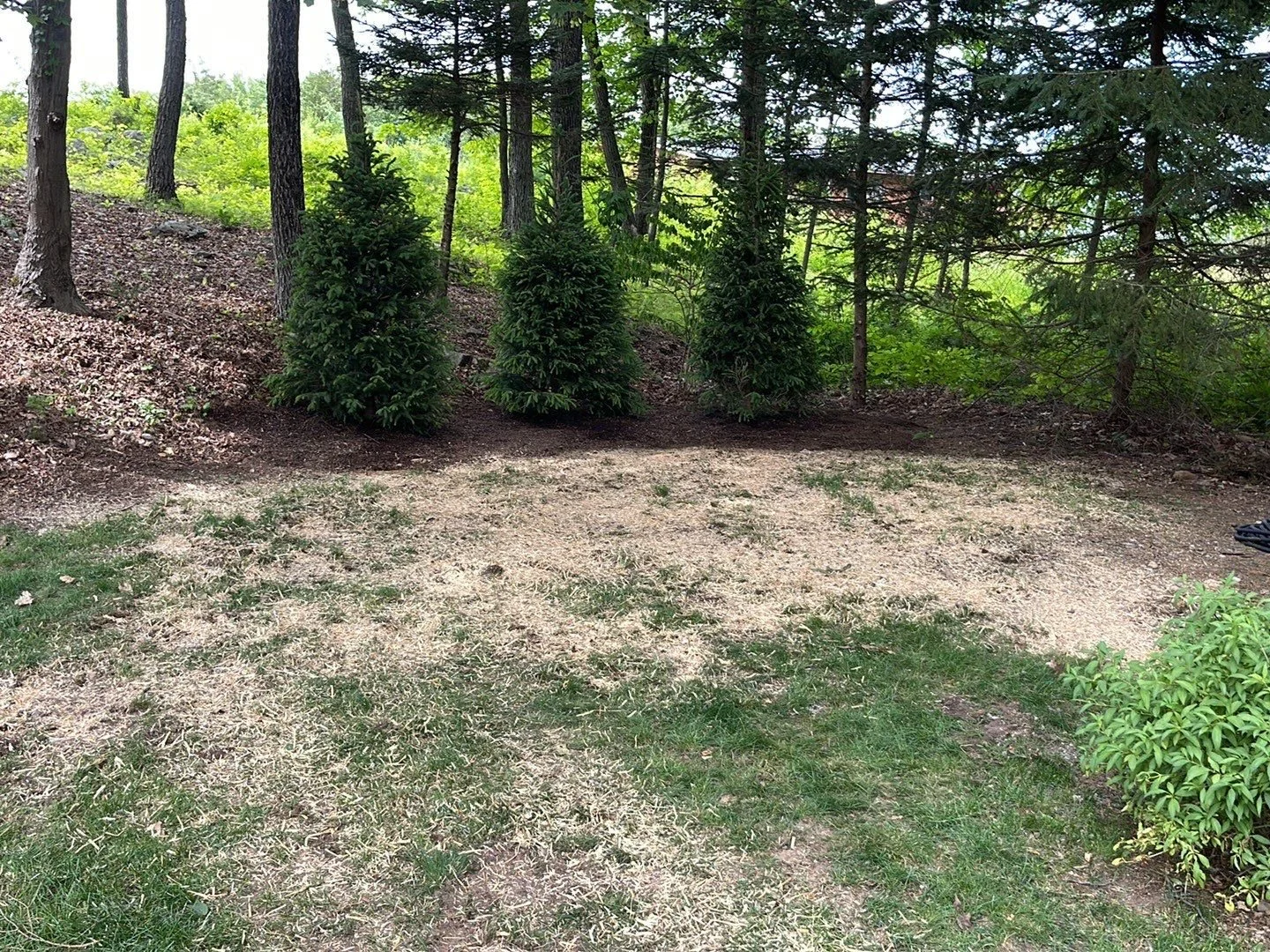 NEW-Property-Border Screenings-Bracket 1-8-2.jpg