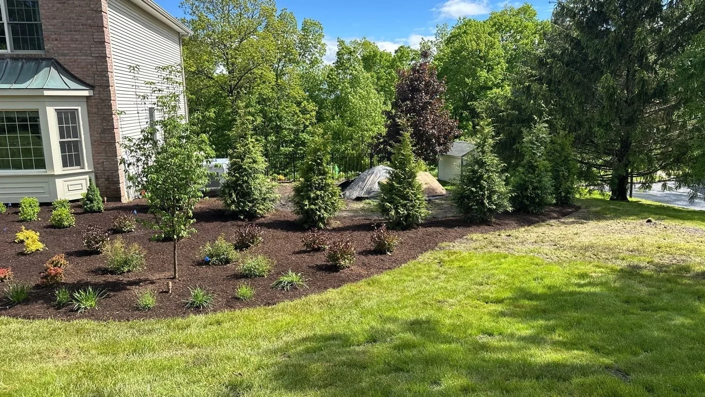 NEW-Property-Border Screenings-Bracket 1-7-2.jpg