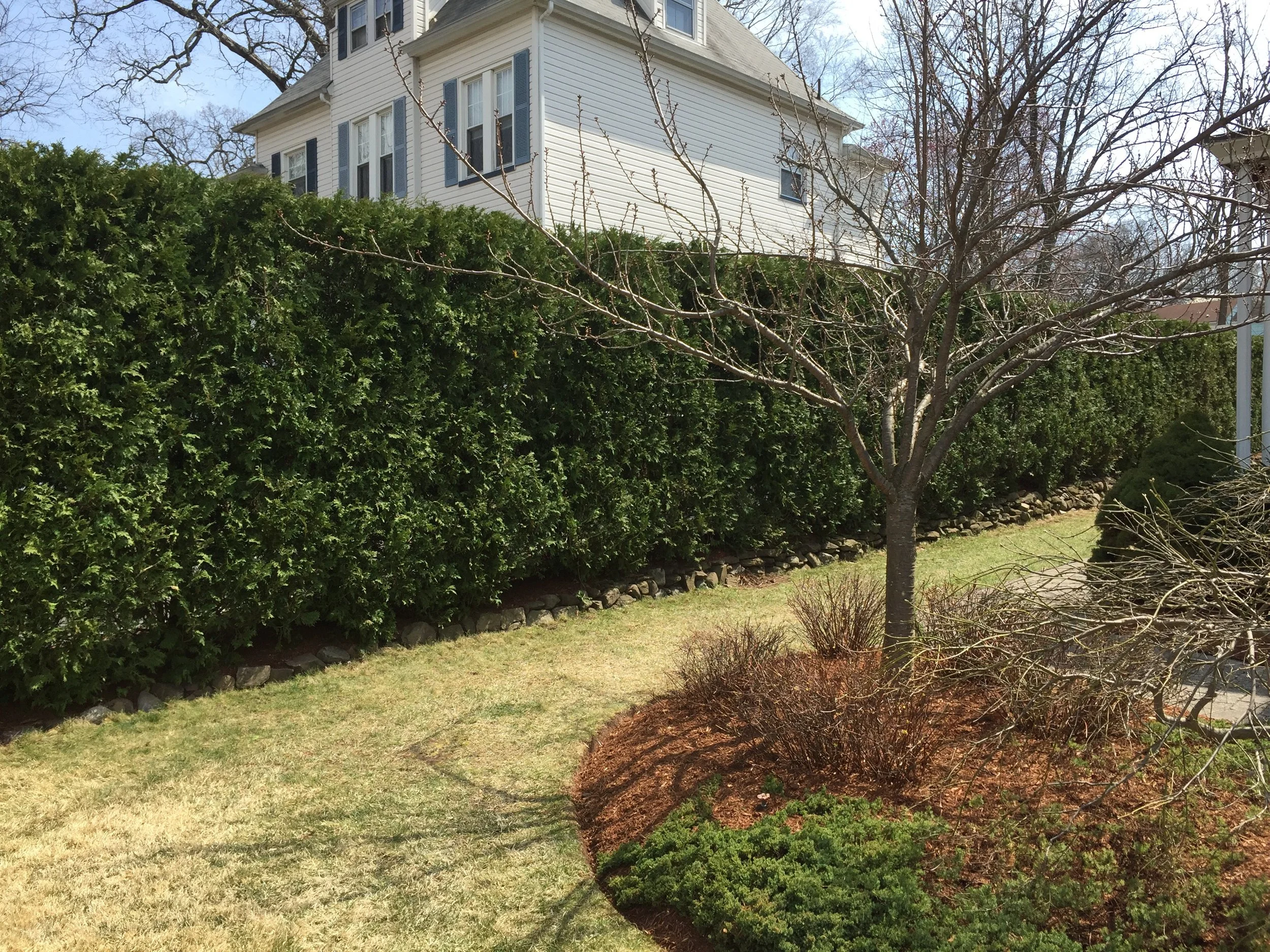 NEW-Property-Border Screenings-Bracket 2-2-4.jpg