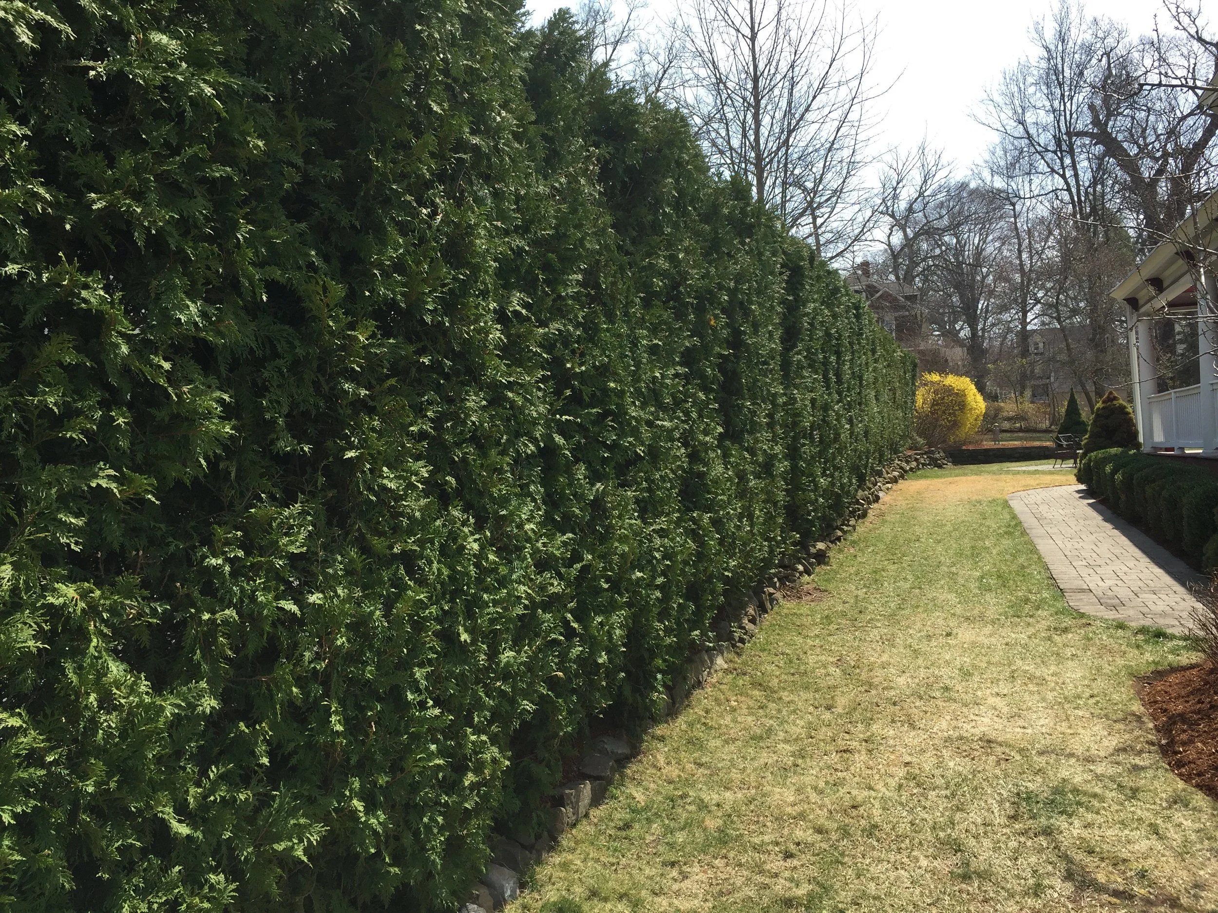 NEW-Property-Border Screenings-Bracket 2-2-3.jpg