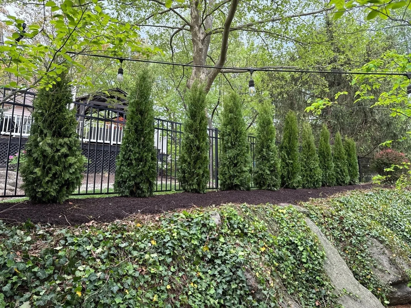 NEW-Property-Border Screenings-Bracket 2-1-3.jpg