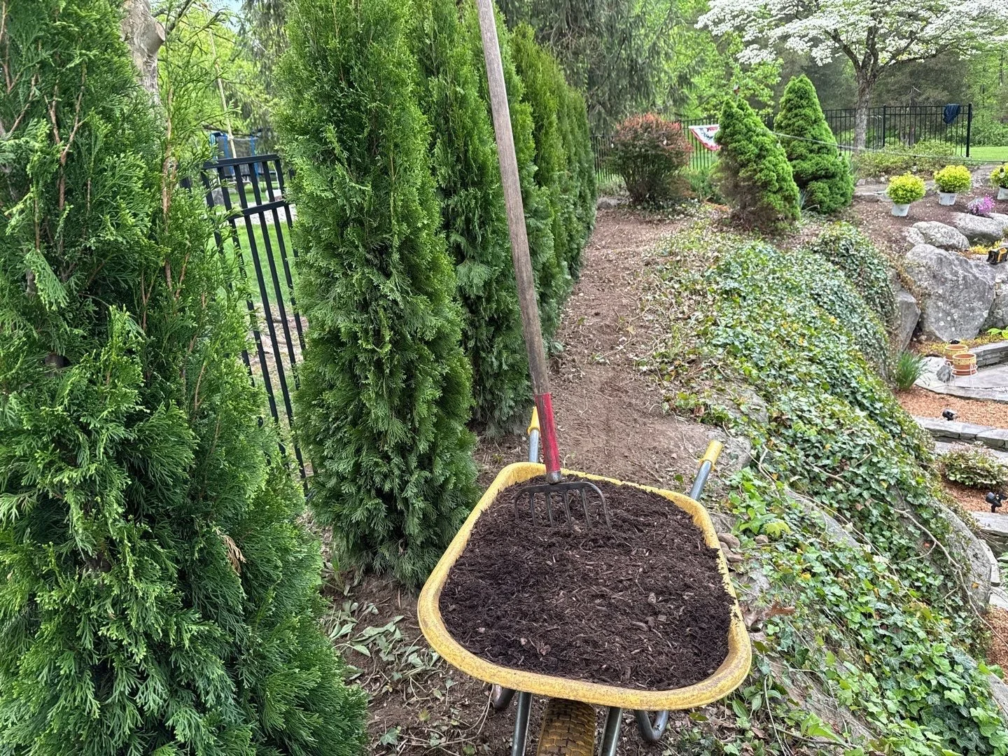 NEW-Property-Border Screenings-Bracket 2-1-2.jpg