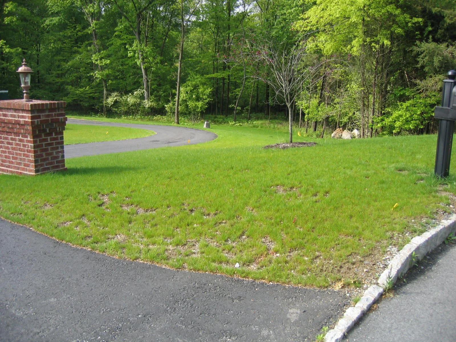 front yard bracket 44-2NPFYB4.jpg