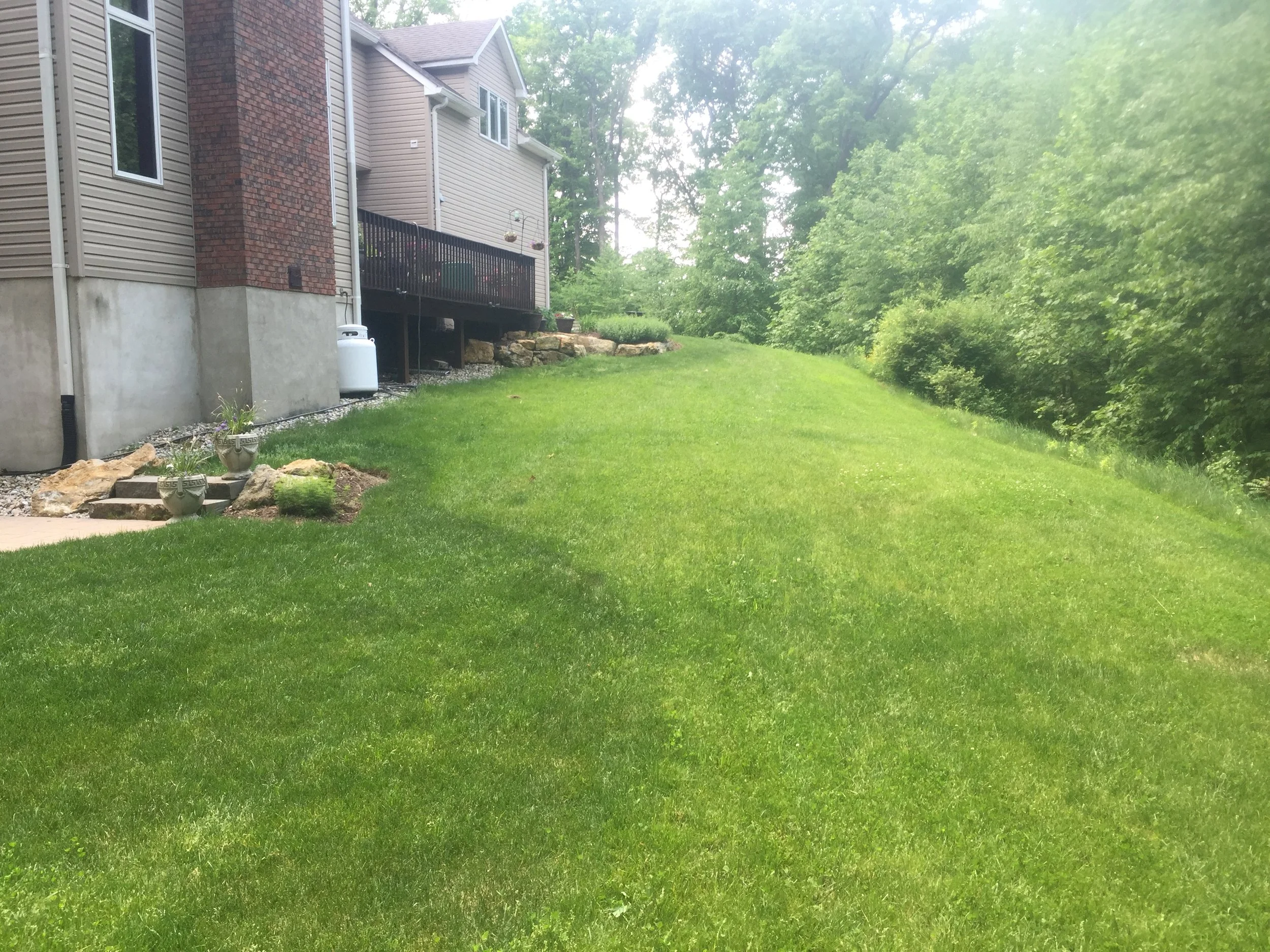 Patios-Walkways-NEW-CONCRETE PAVER-Backyard-Bracket 4-1-1NPWCPBYB4.jpg