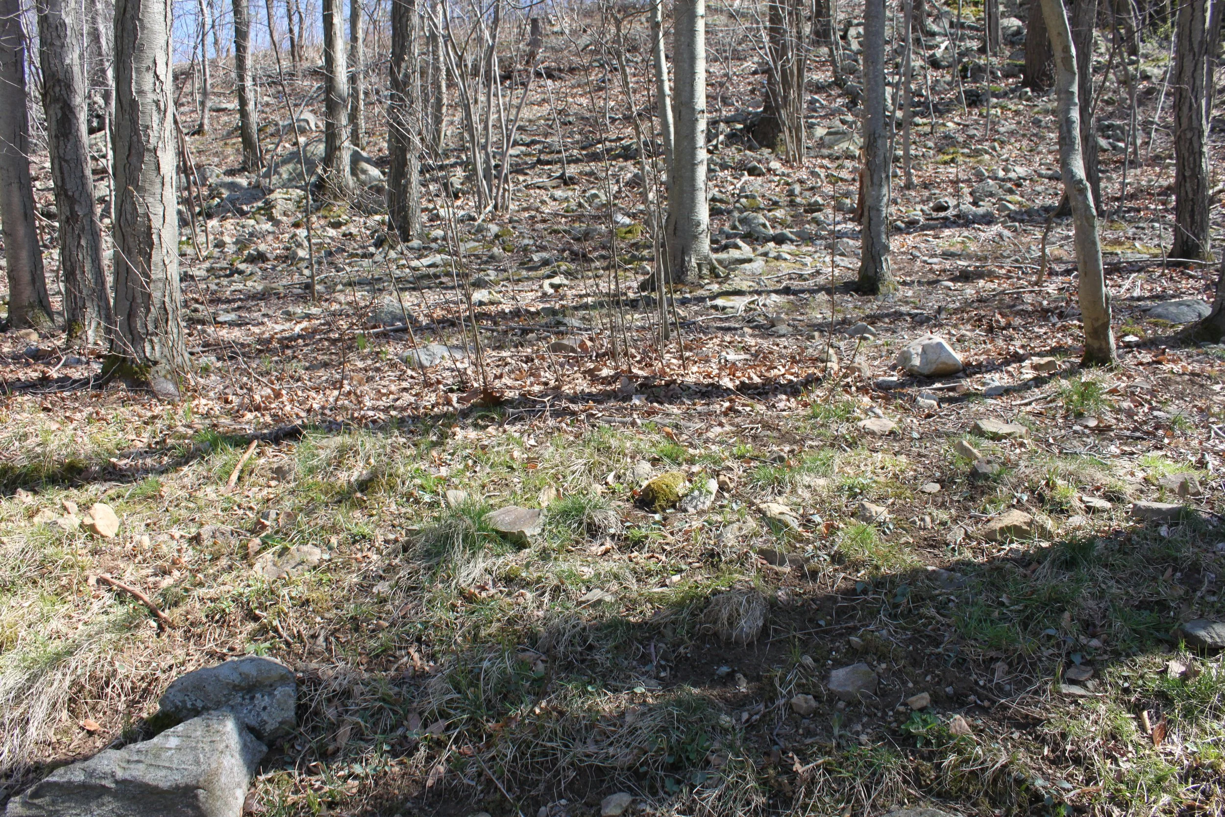 Natural Stone Walls - NEW - Bracket 2 - 1-2NWNSB2.JPG