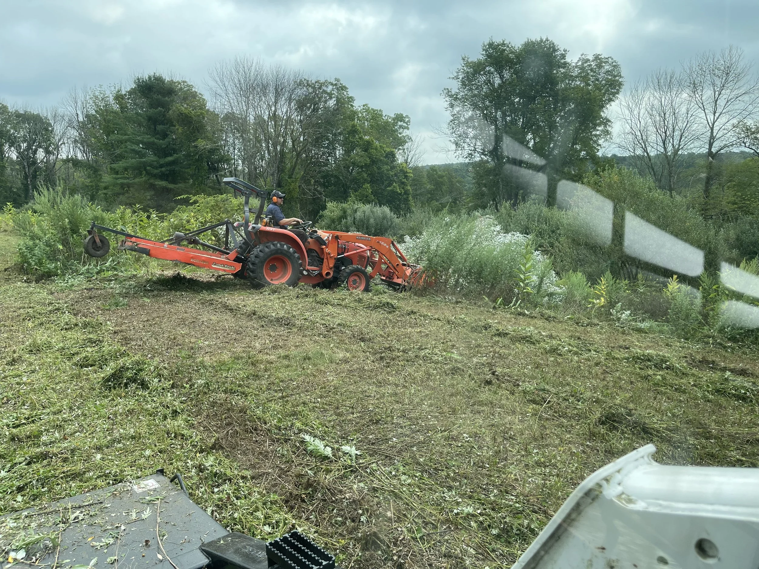 Invasive_Plant_Removal_-_1-5.jpg