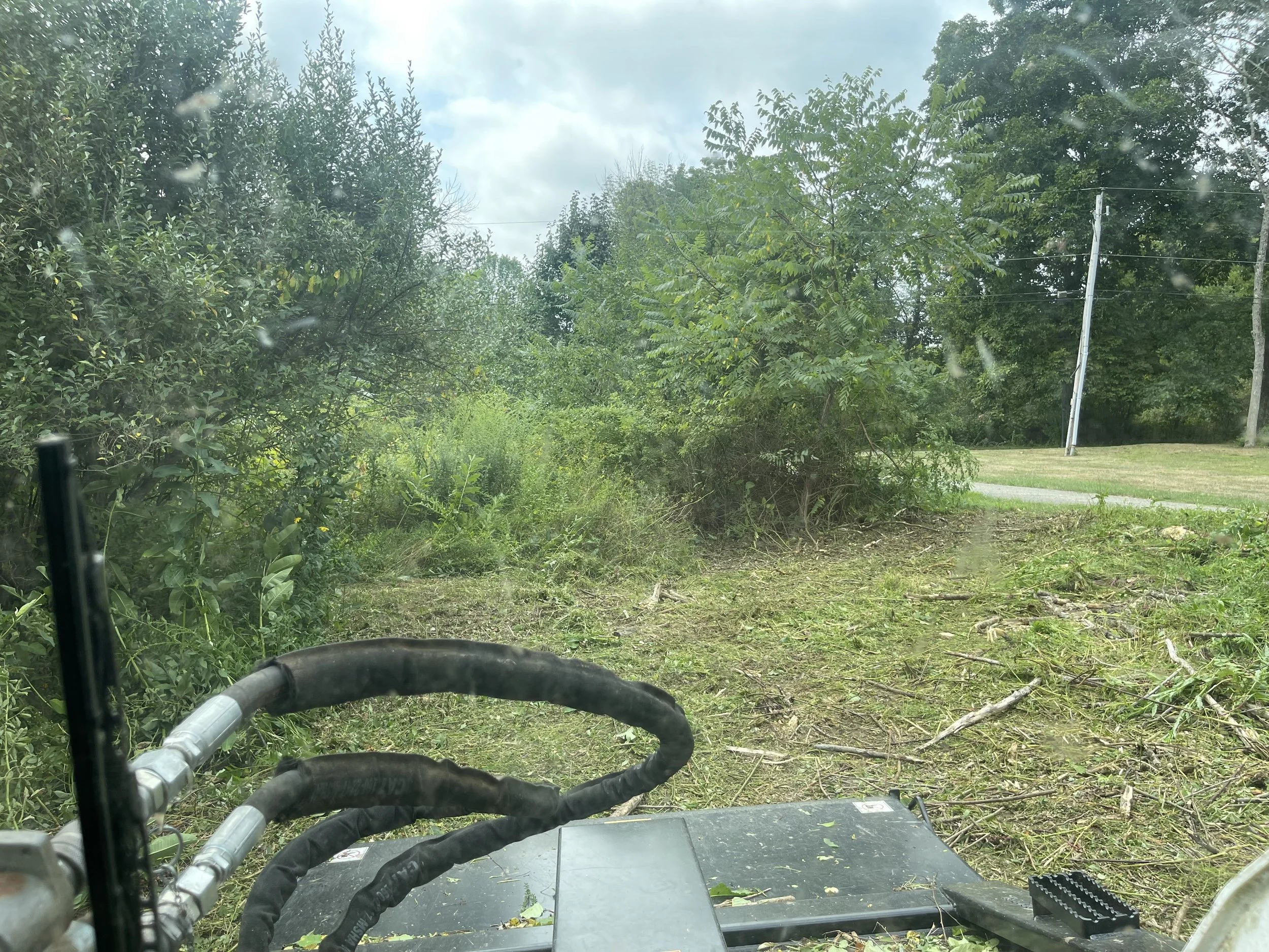 Invasive_Plant_Removal_-_1-9.jpg
