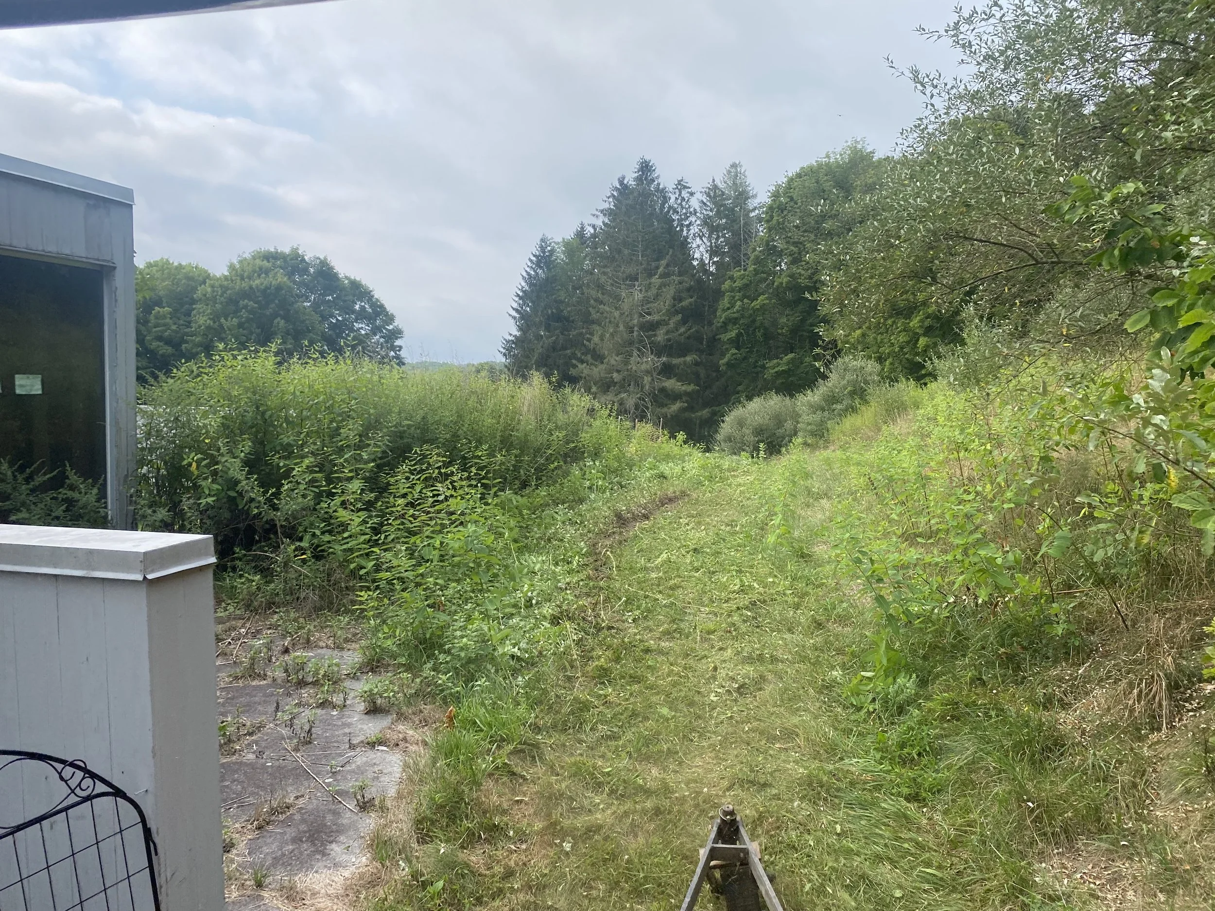 Land Clearing - 1-4.jpg