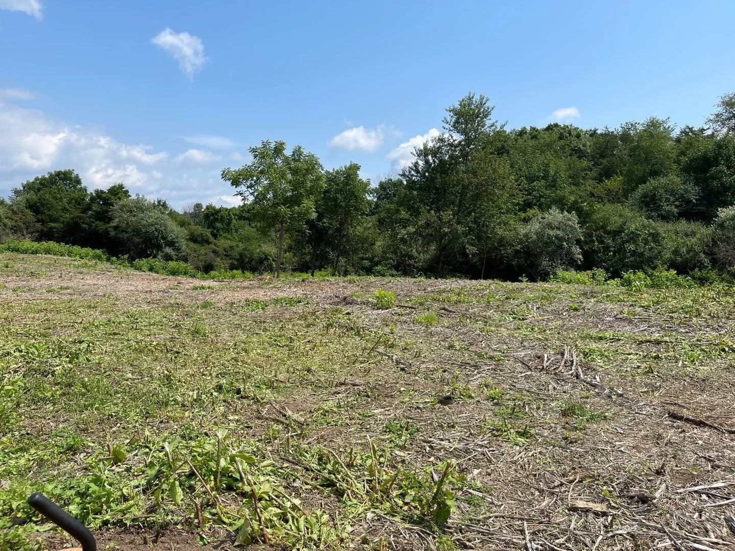 Land Clearing - 3-4.jpg