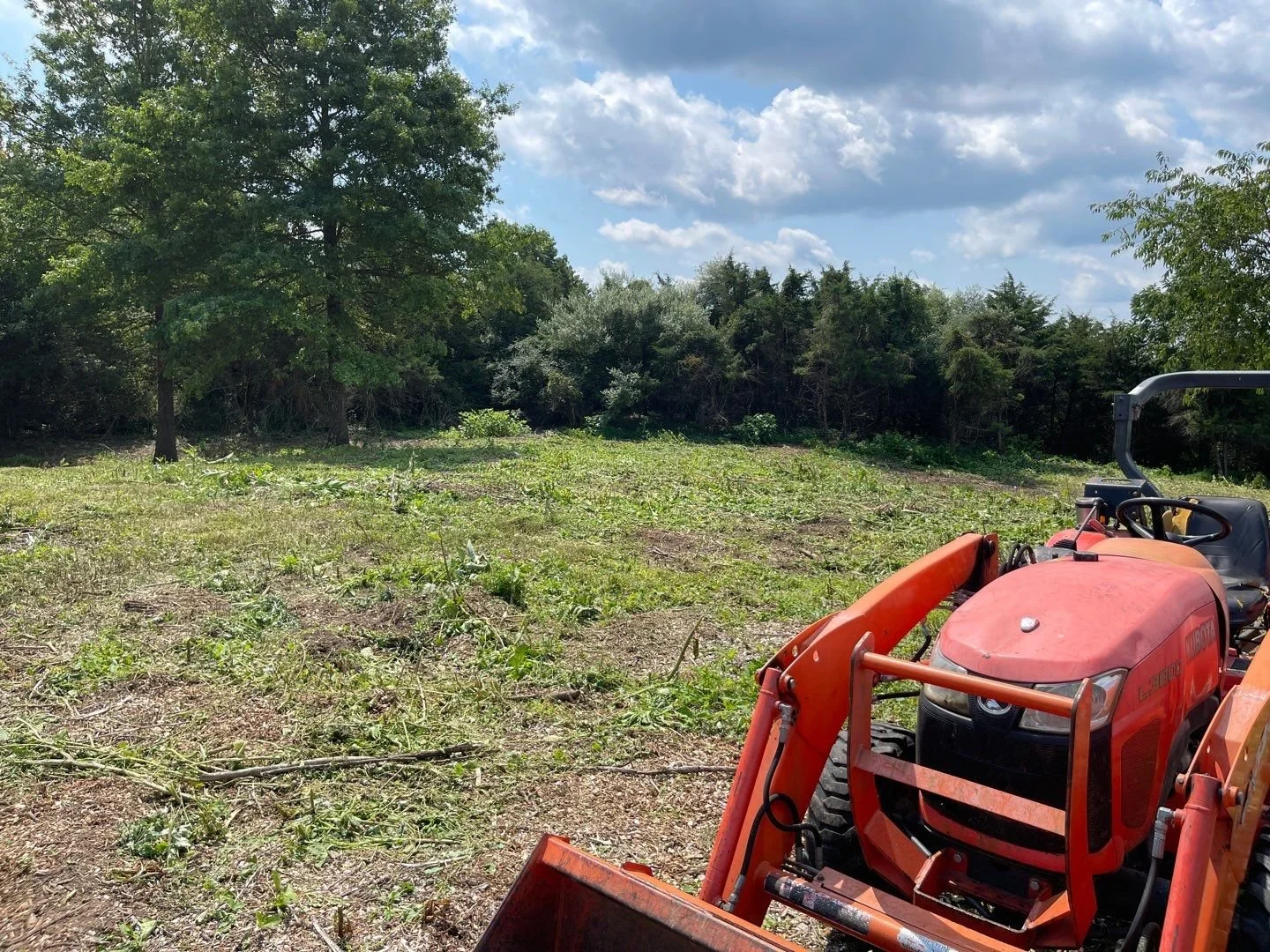 Land Clearing - 3-2.jpg