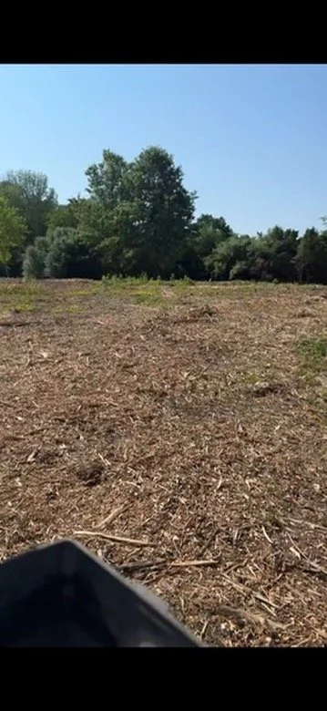 Land Clearing - 3-3.jpeg