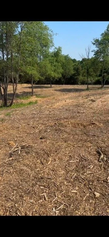 Land Clearing - 3-6.jpeg