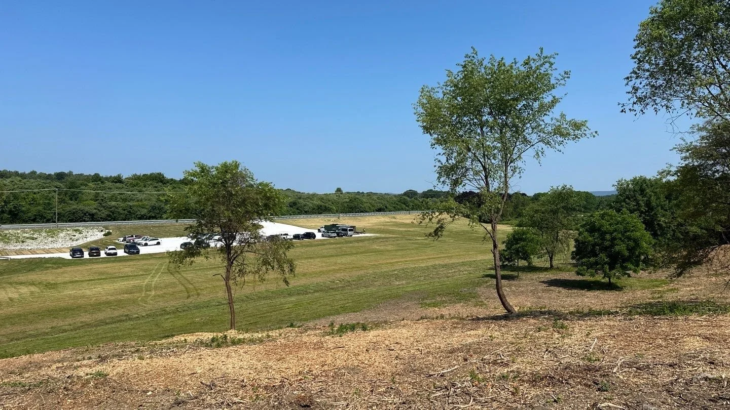 Land Clearing - 3-5.jpg