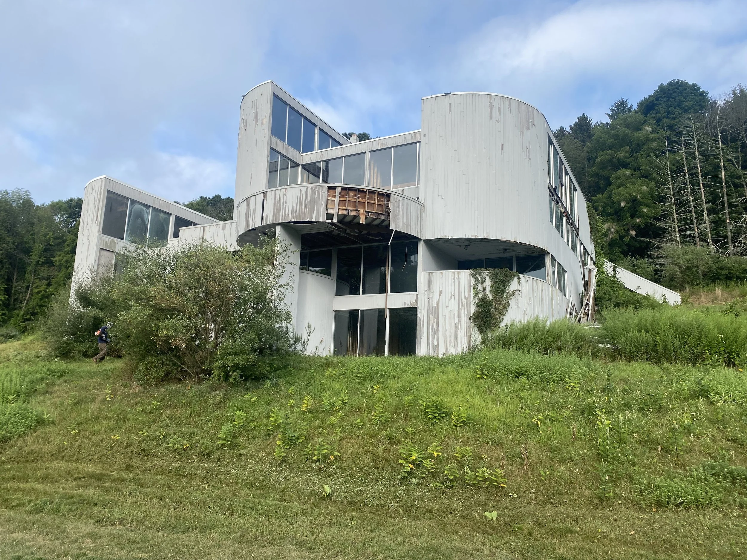 Invasive Plant Removal - 1-1.jpg