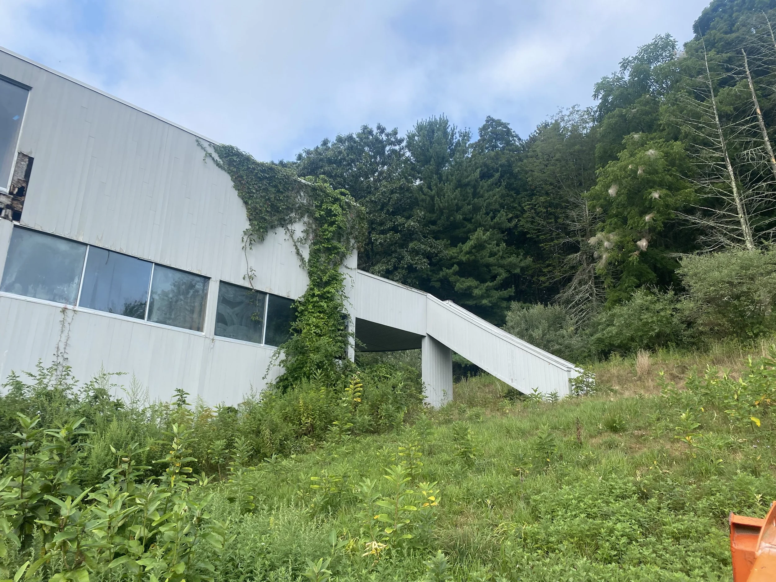 Invasive Plant Removal - 1-3.jpg