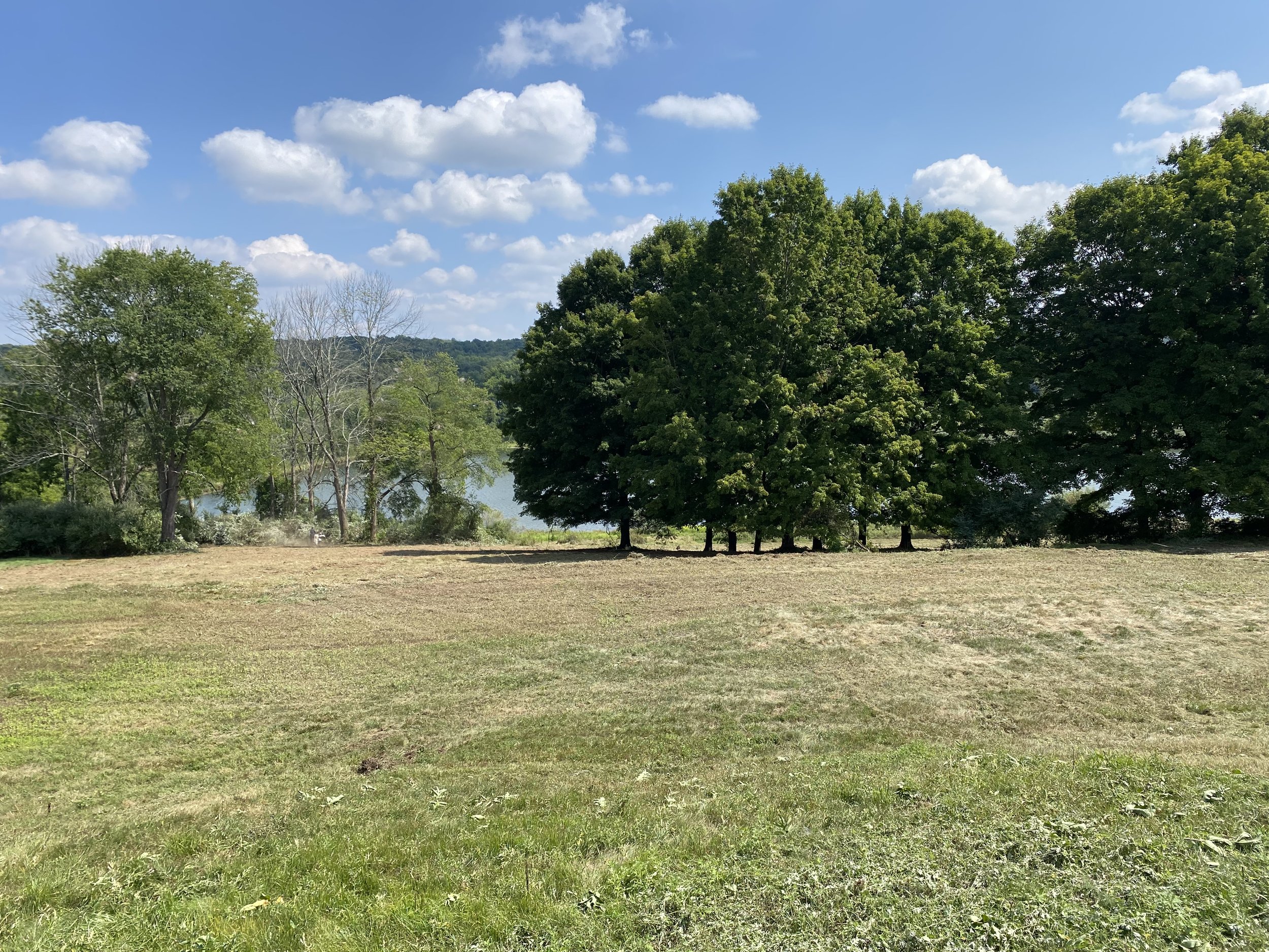 Invasive Plant Removal - 1-14.jpg