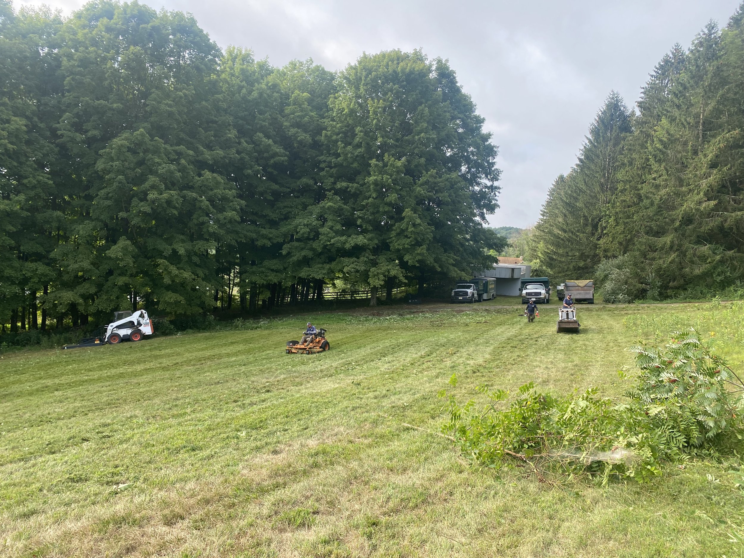 Invasive Plant Removal - 1-10.jpg