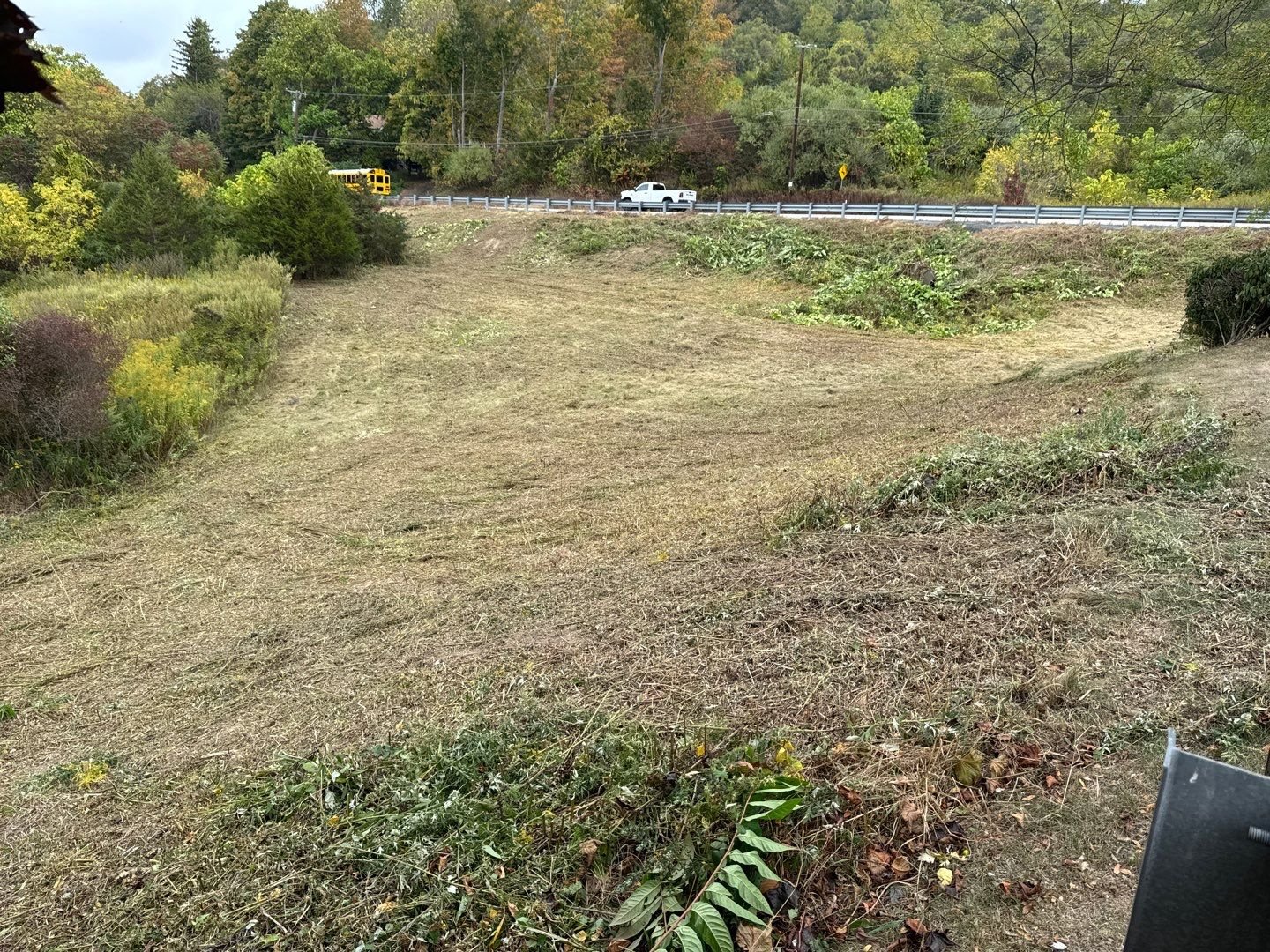 Invasive Plant Removal - 2-5.jpg