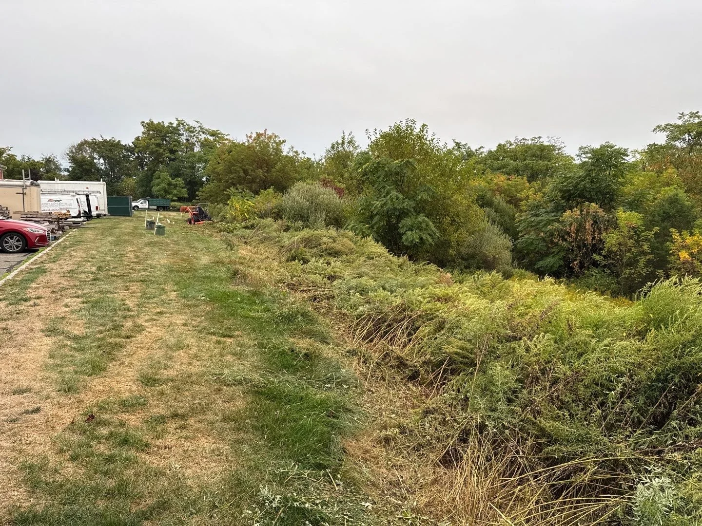 Invasive Plant Removal - 2-3.jpg