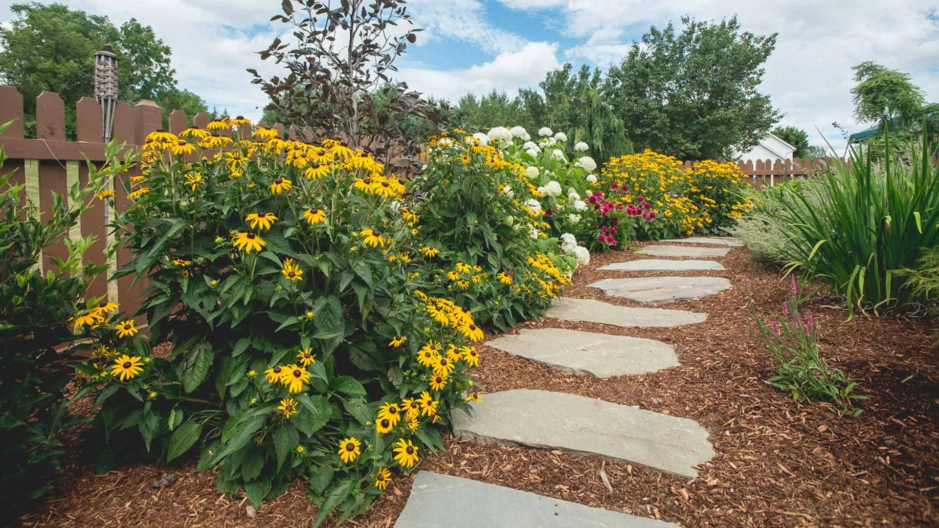 Backyard Landscape.jpg
